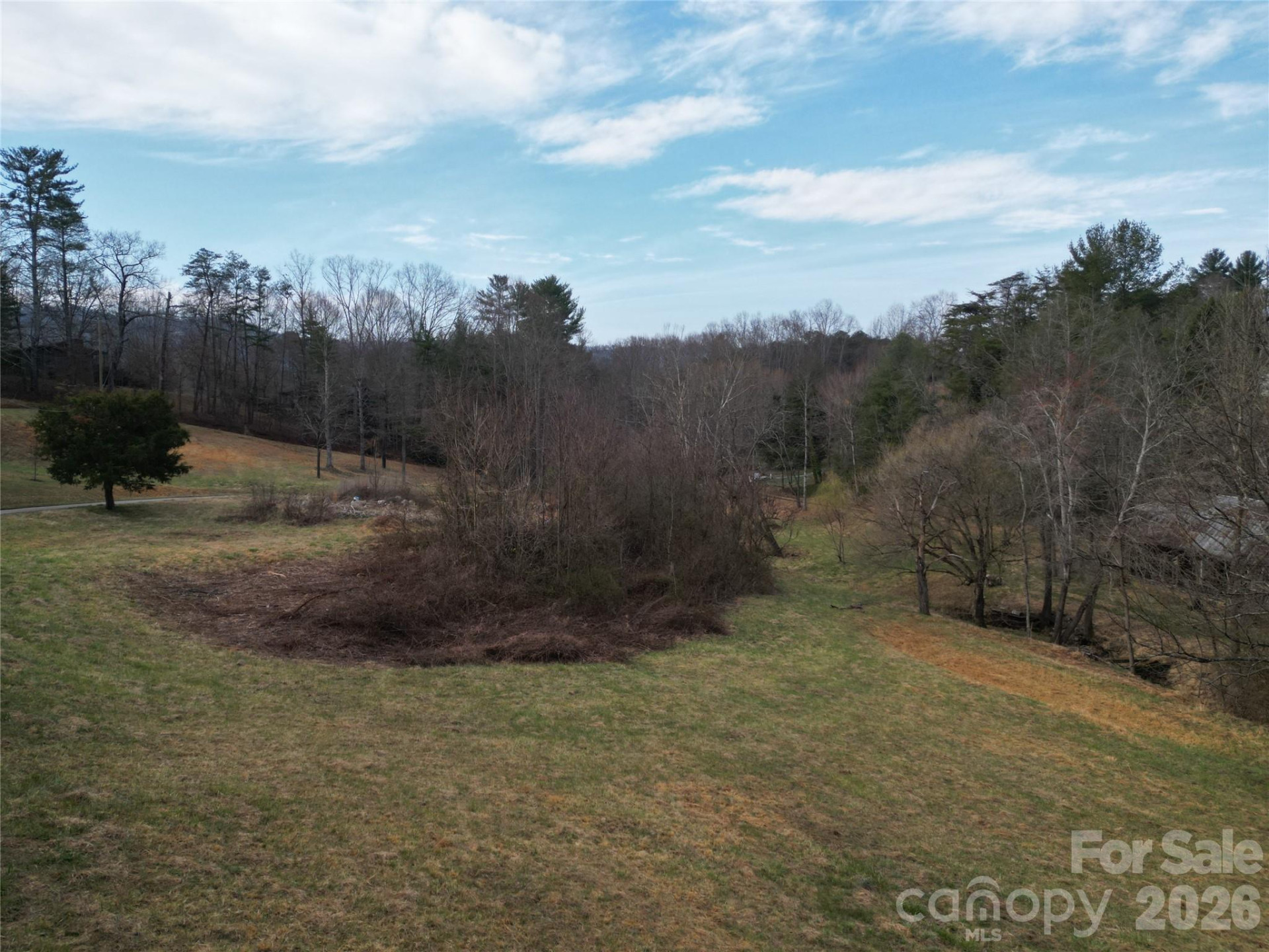 46 Pug Run #4 - Photo 8