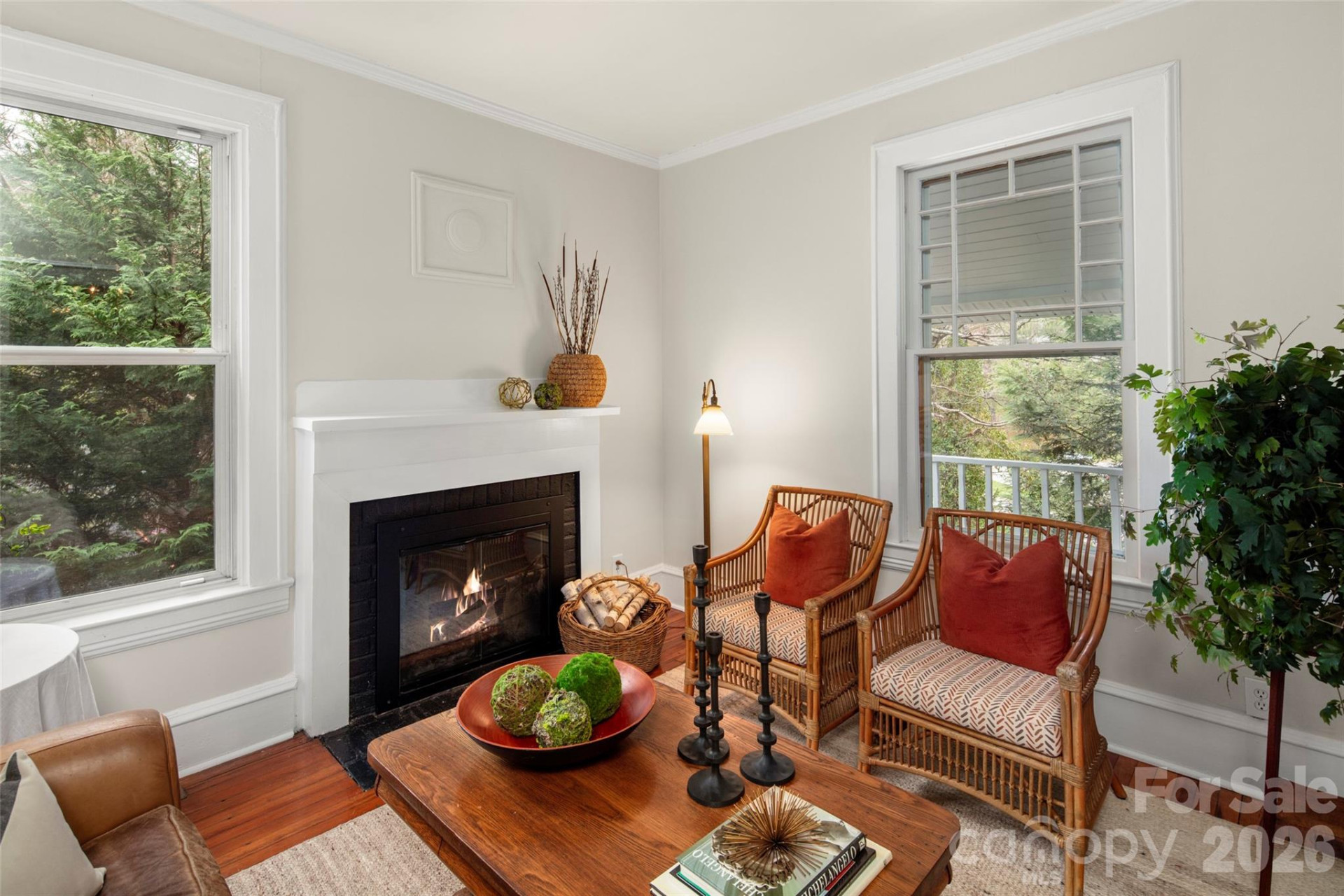 255 Hinson Terrace Drive - Photo 8