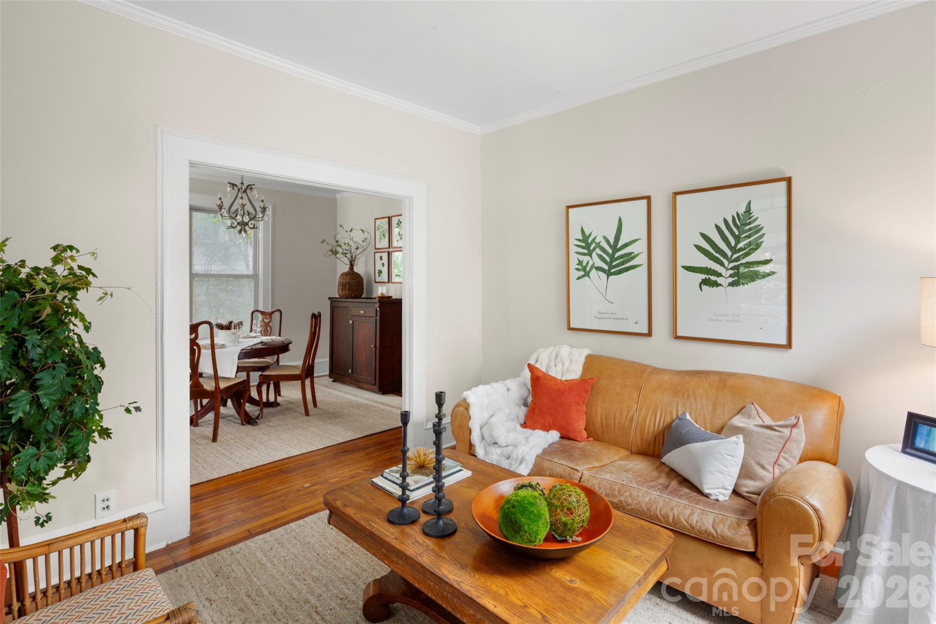 255 Hinson Terrace Drive - Photo 9