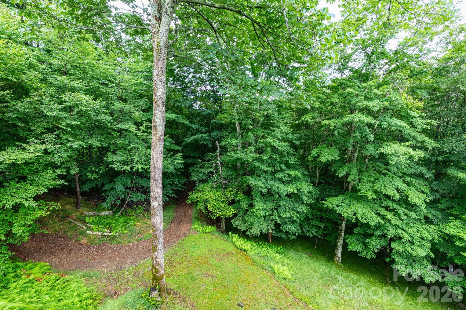 155 Mule Trail Drive - Photo 28