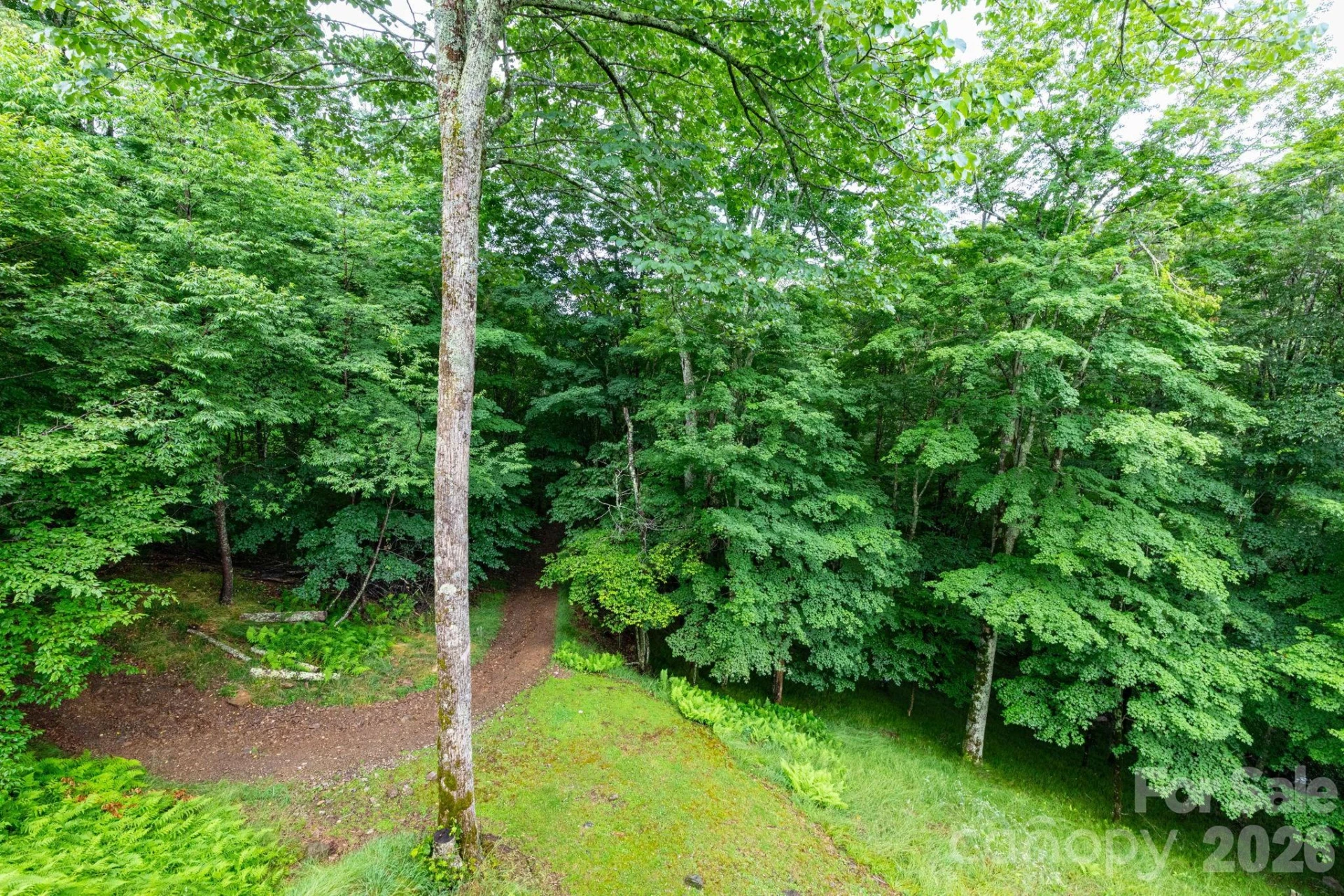 155 Mule Trail Drive - Photo 32