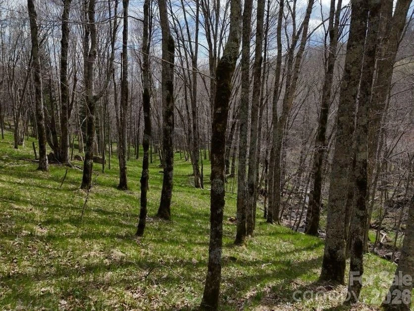 155 Mule Trail Drive - Photo 35