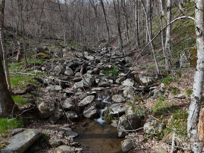 155 Mule Trail Drive - Photo 42