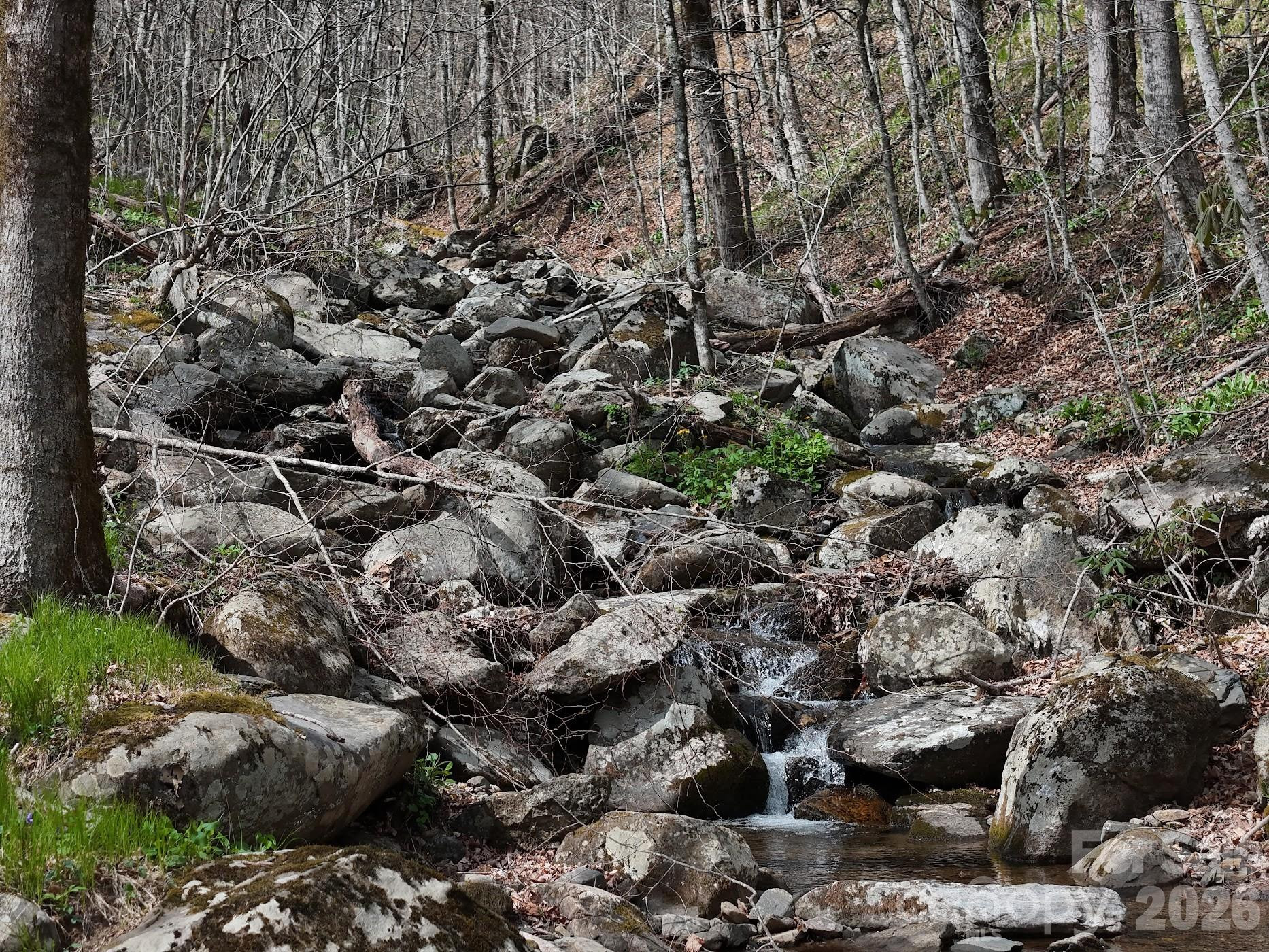 155 Mule Trail Drive - Photo 43