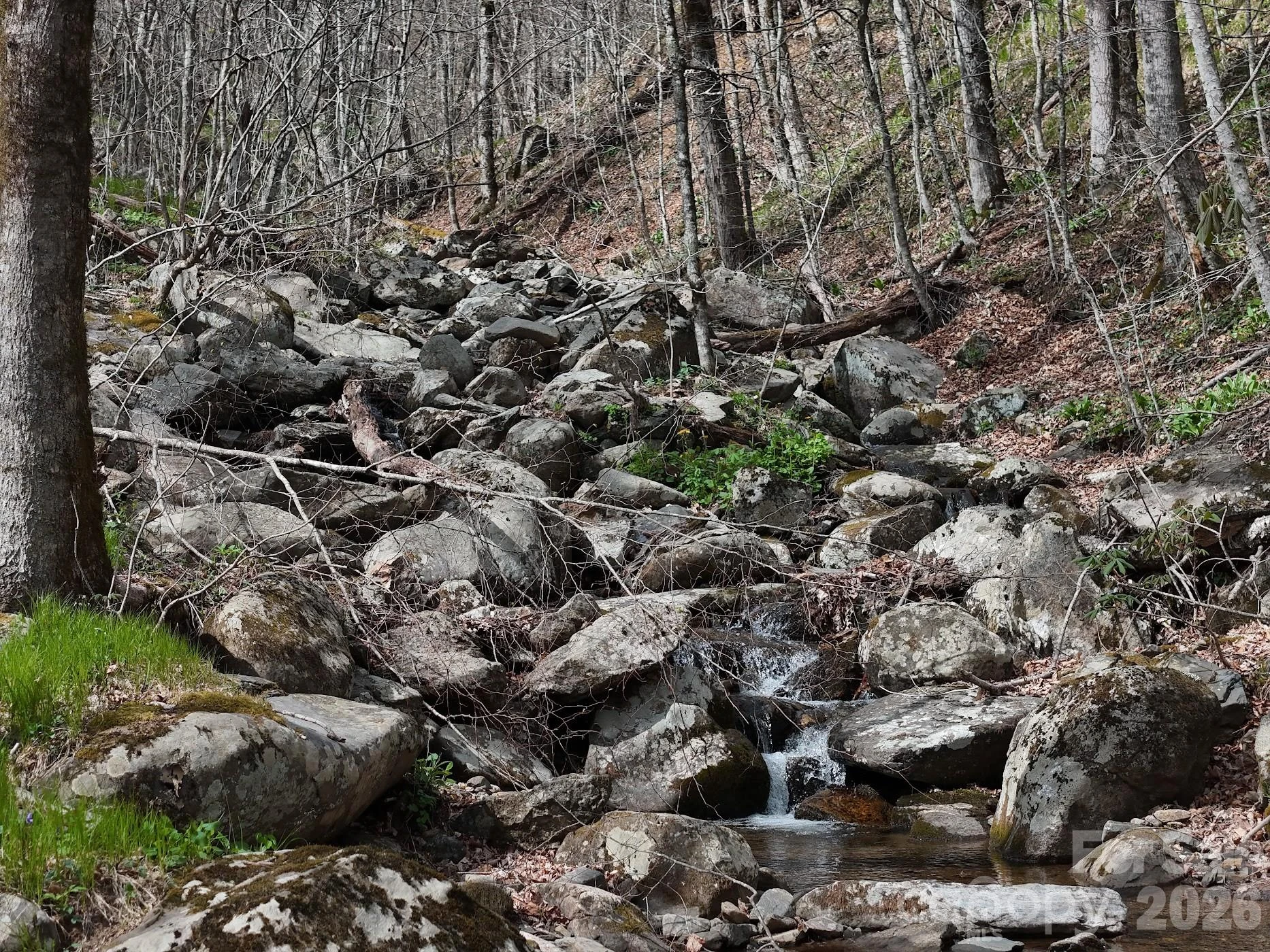 155 Mule Trail Drive - Photo 43