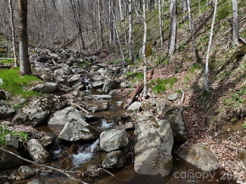 155 Mule Trail Drive - Photo 44