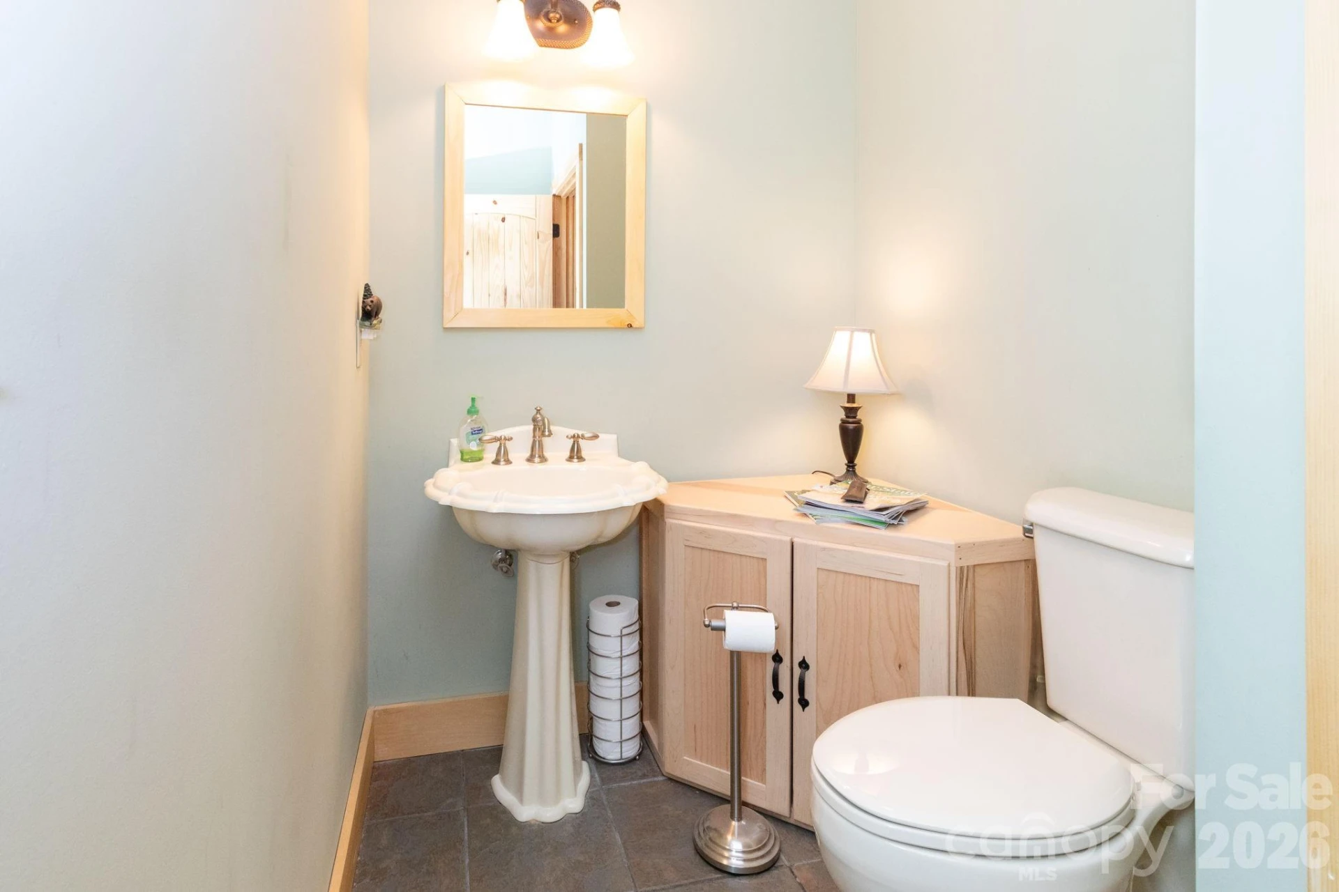155 Mule Trail Drive - Photo 11