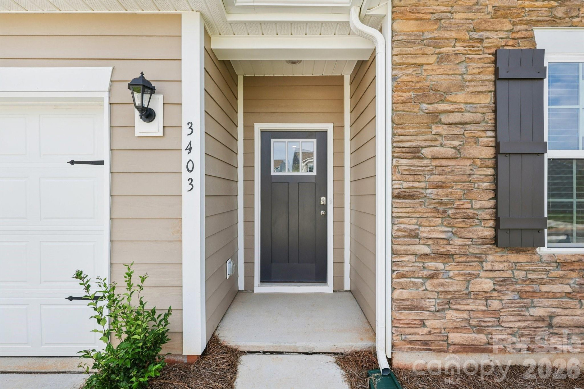 115 Cora View Trail - Photo 3