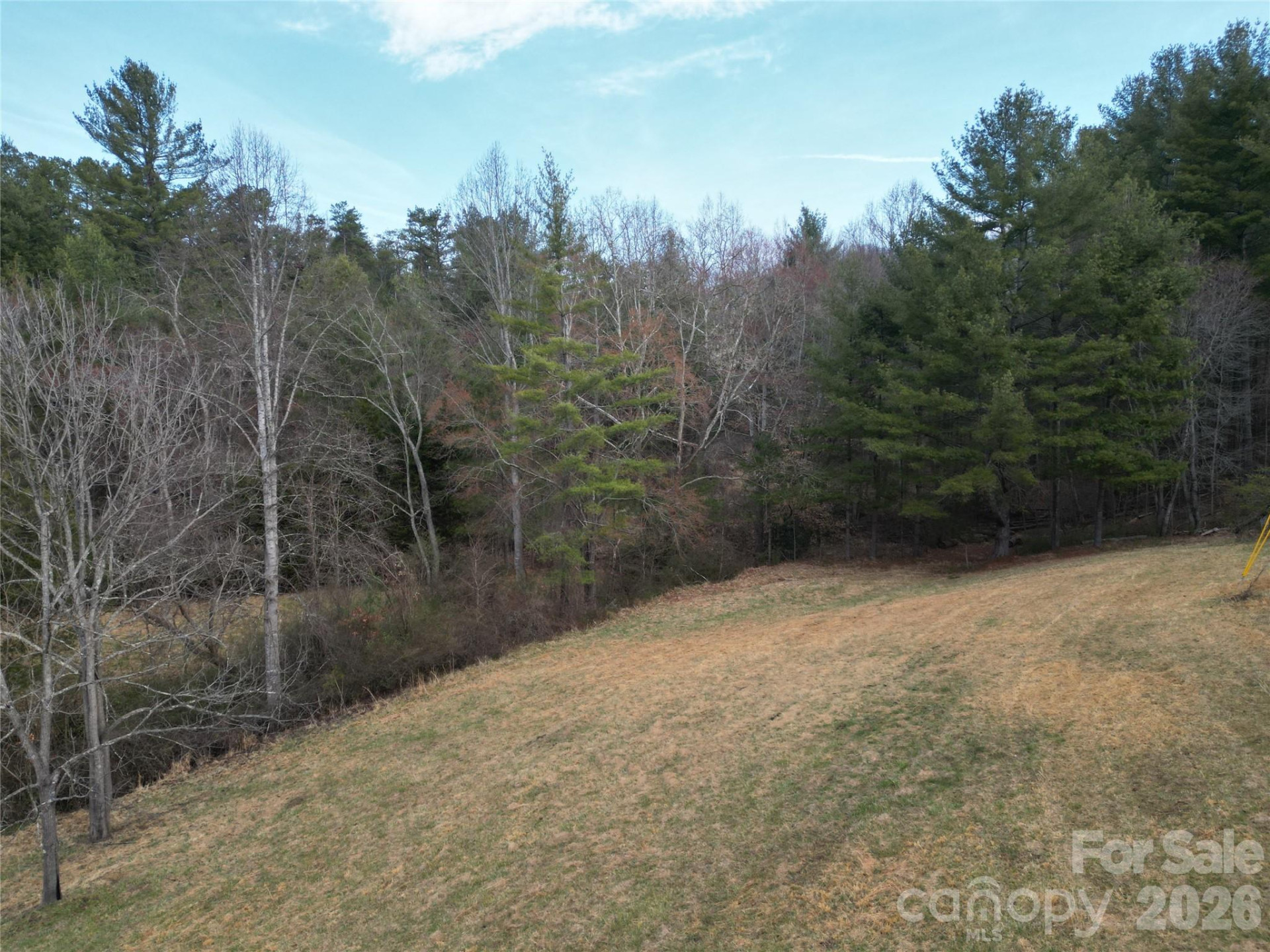 99999/46 Pug Run #4/5 - Photo 3