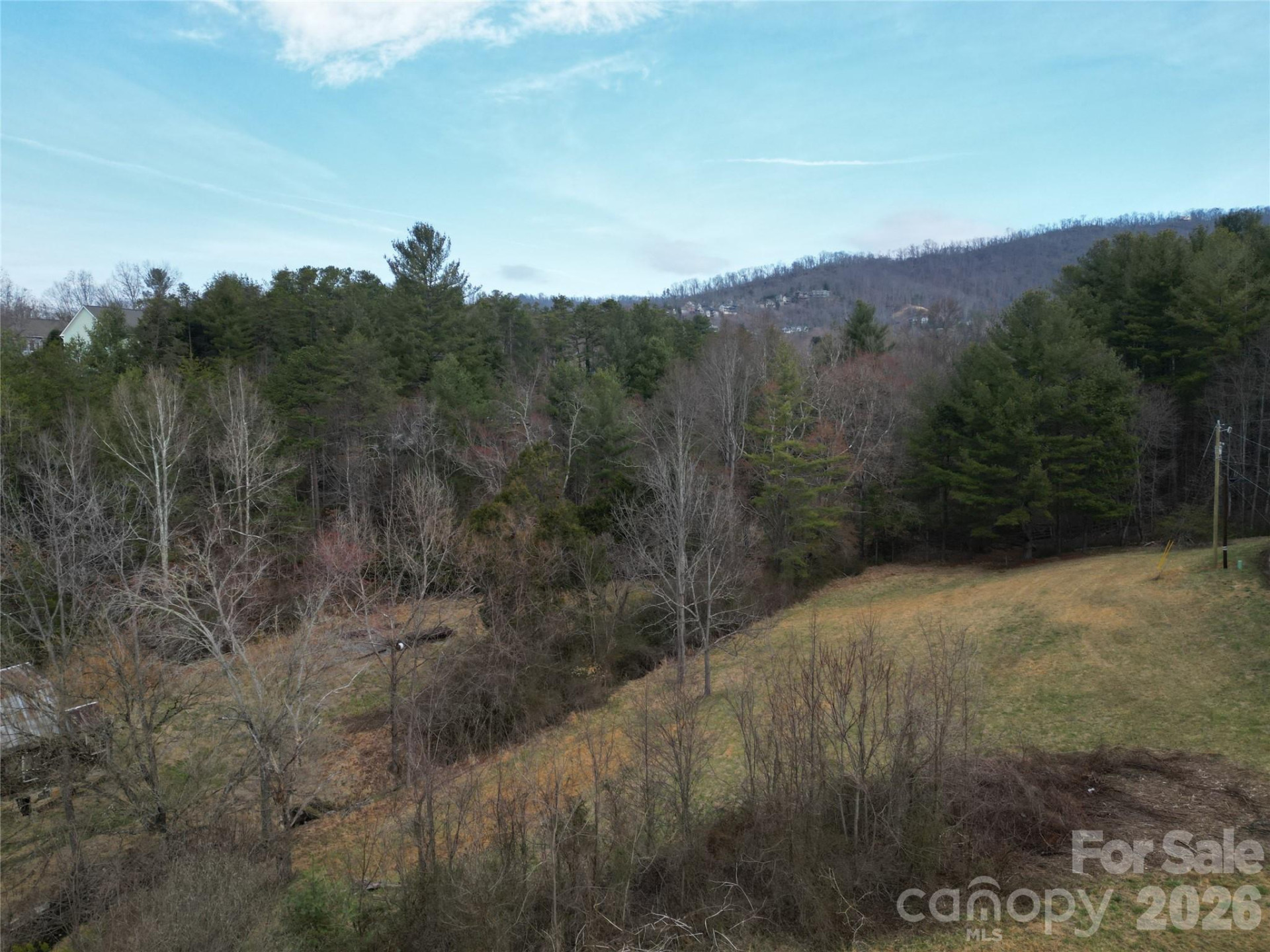 99999/46 Pug Run #4/5 - Photo 6