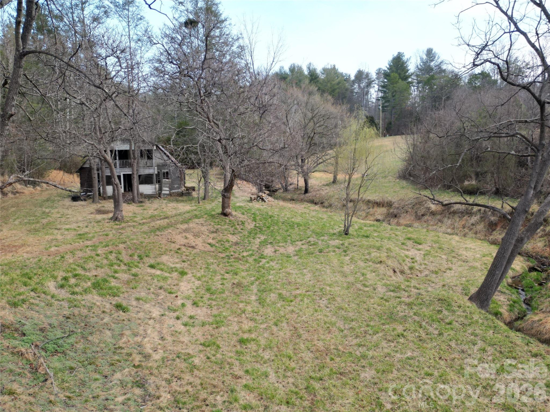 99999/46 Pug Run #4/5 - Photo 9