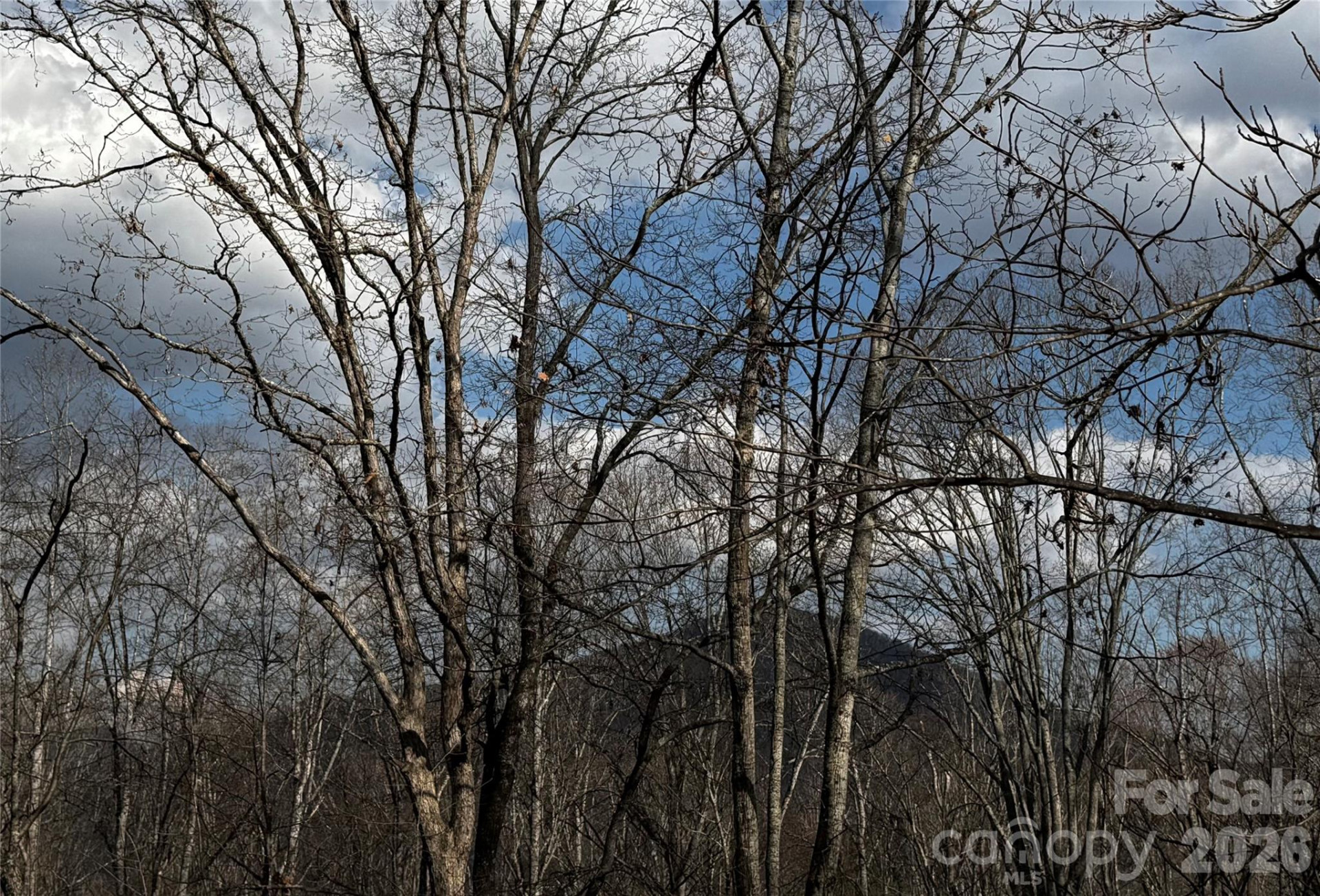 806 & 810 Hutch Mountain Road - Photo 42