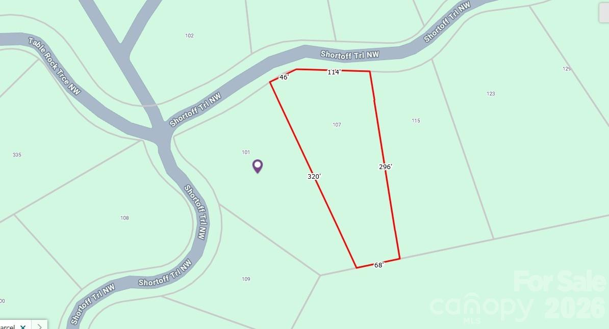 101, 107 Table Rock Trace - Photo 2