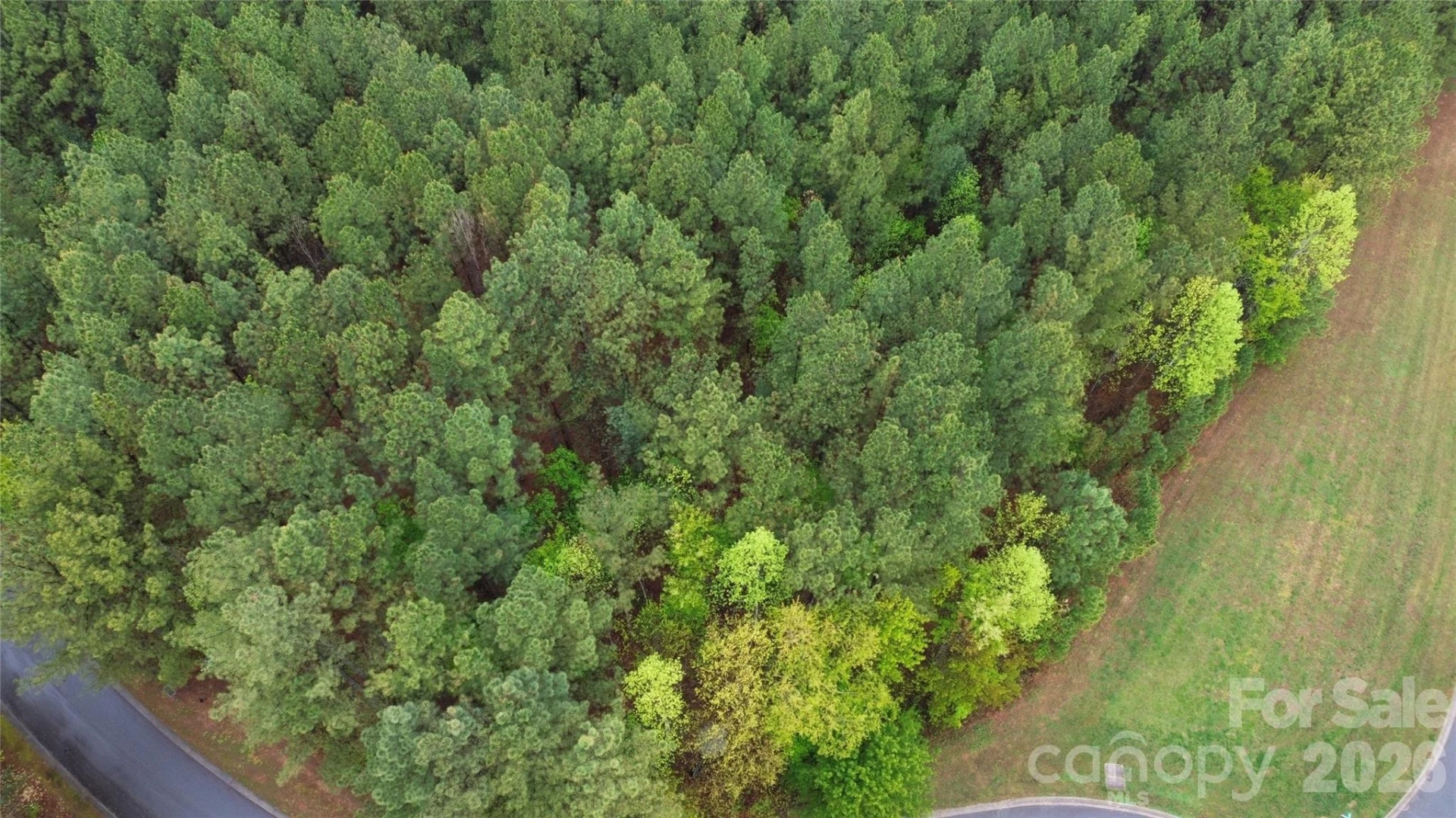 101, 107 Table Rock Trace - Photo 3