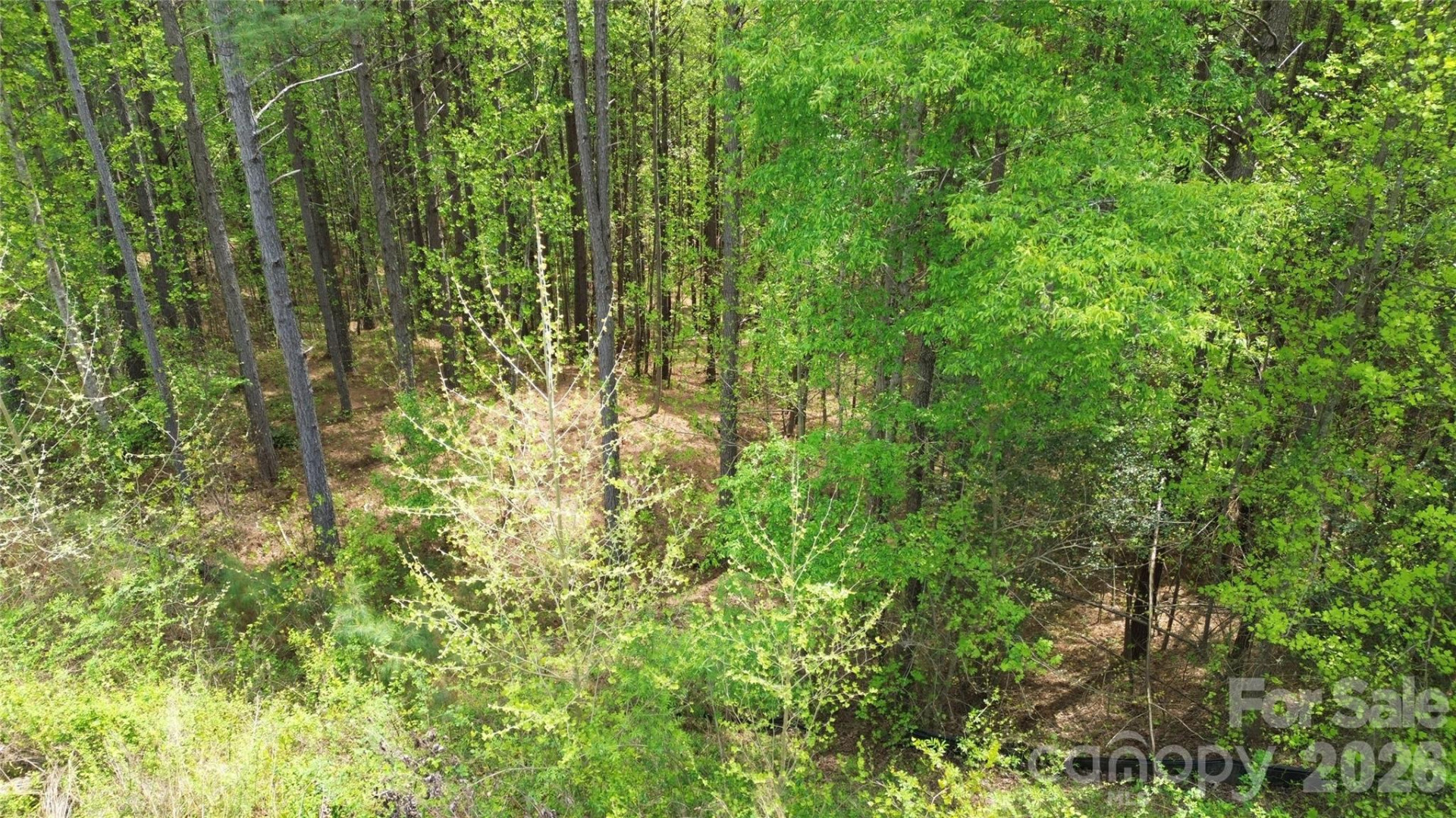 101, 107 Table Rock Trace - Photo 15