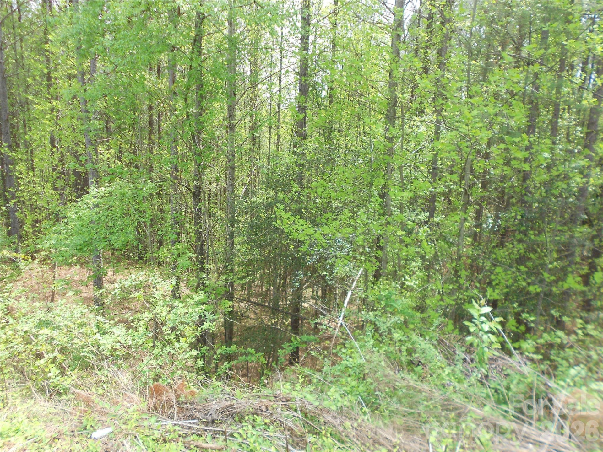 101, 107 Table Rock Trace - Photo 24