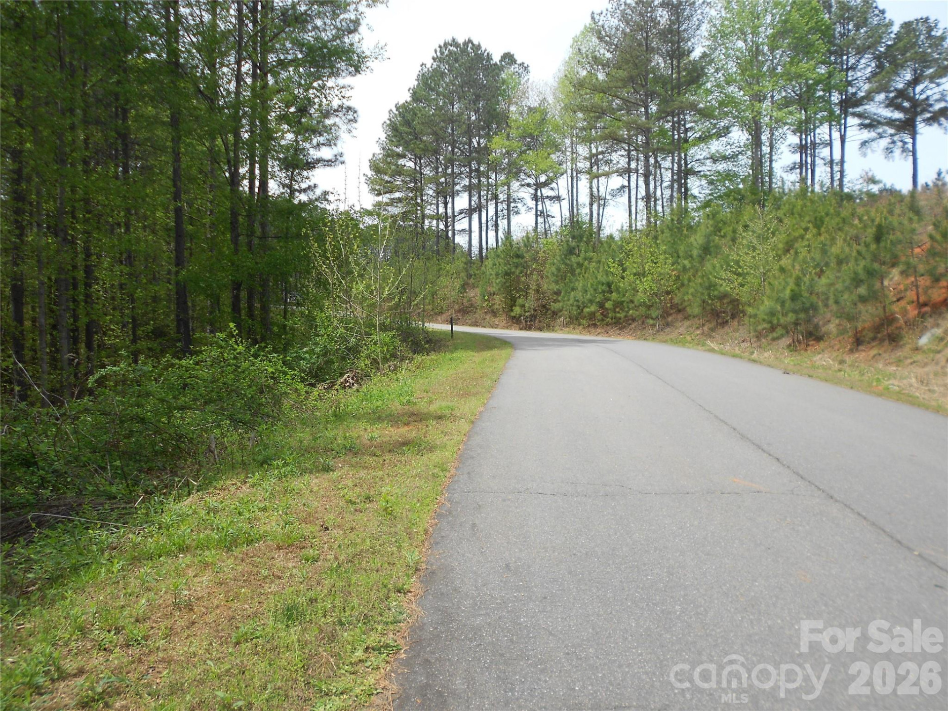 101, 107 Table Rock Trace - Photo 26