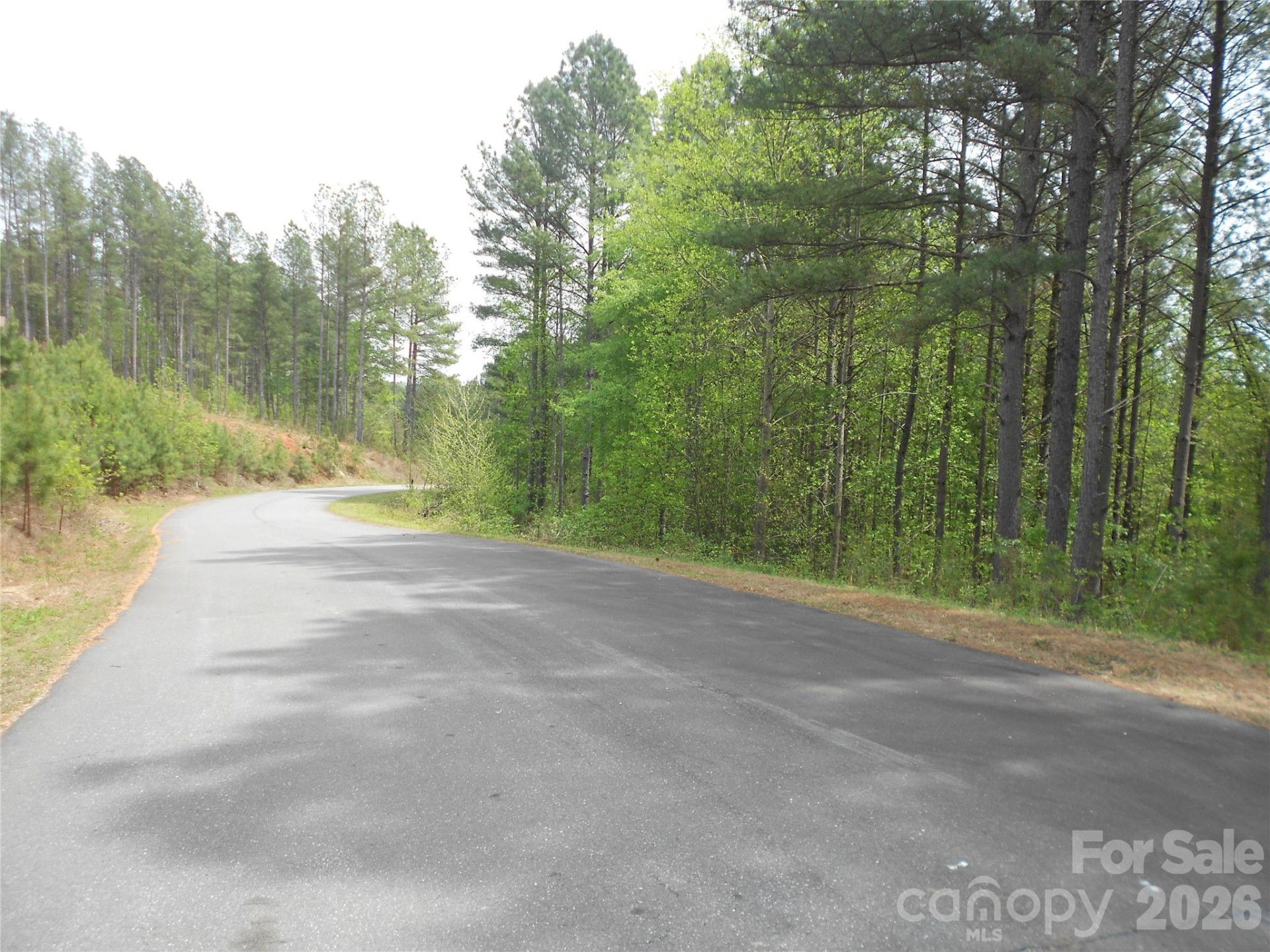 101, 107 Table Rock Trace - Photo 27