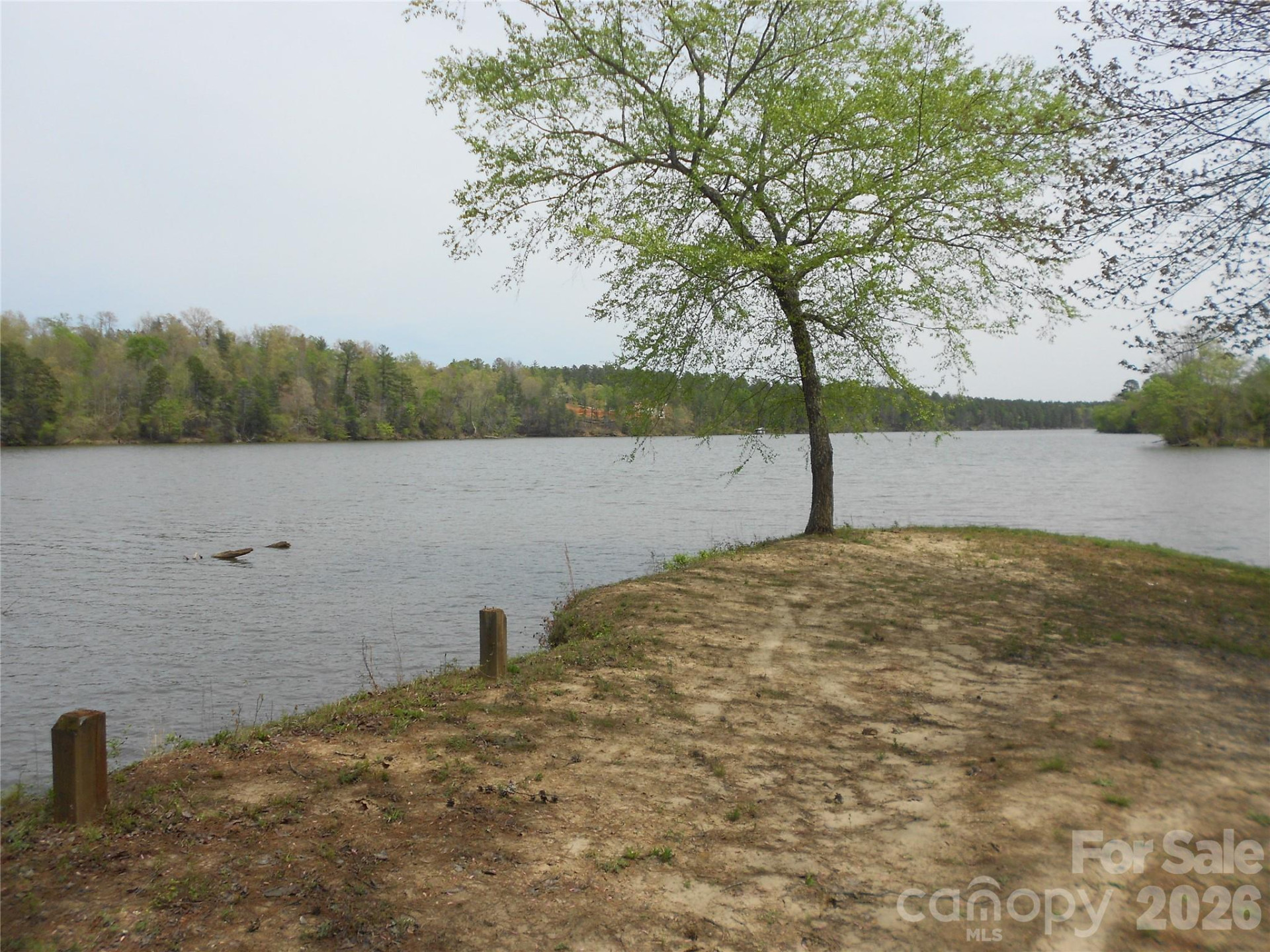 101, 107 Table Rock Trace - Photo 29