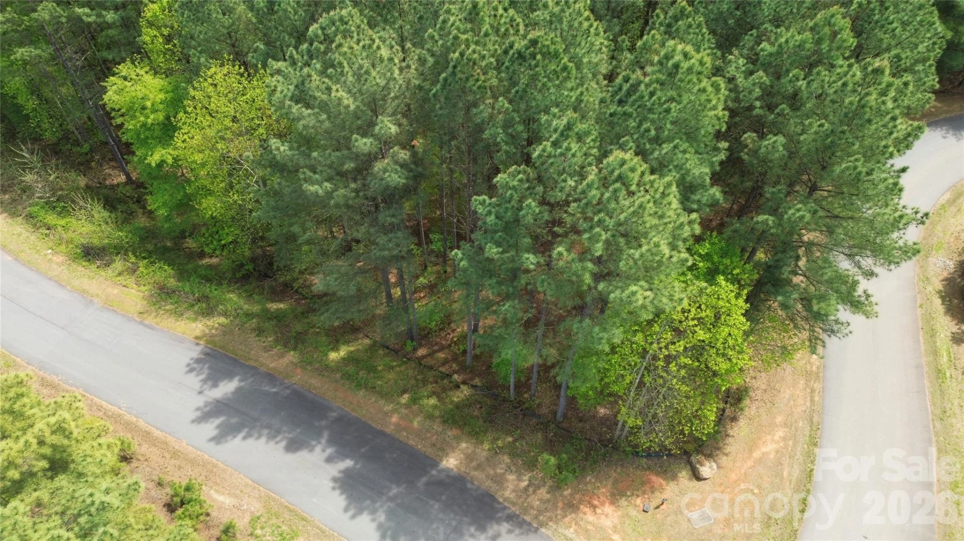 101, 107 Table Rock Trace - Photo 9