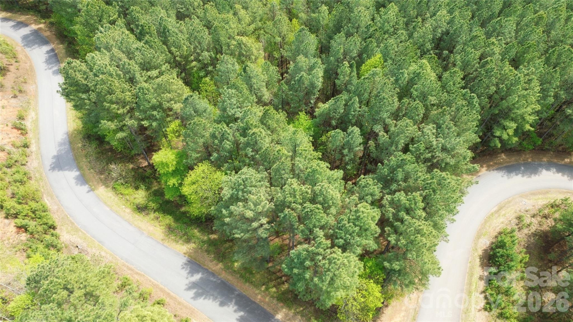 101, 107 Table Rock Trace - Photo 10