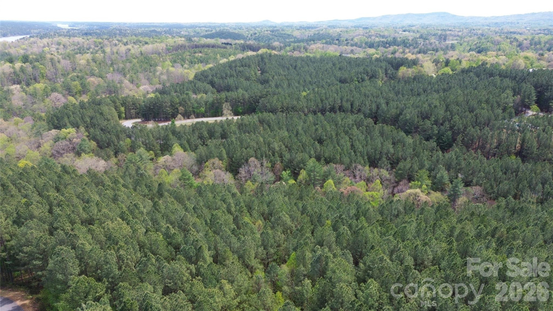 101, 107 Table Rock Trace - Photo 11