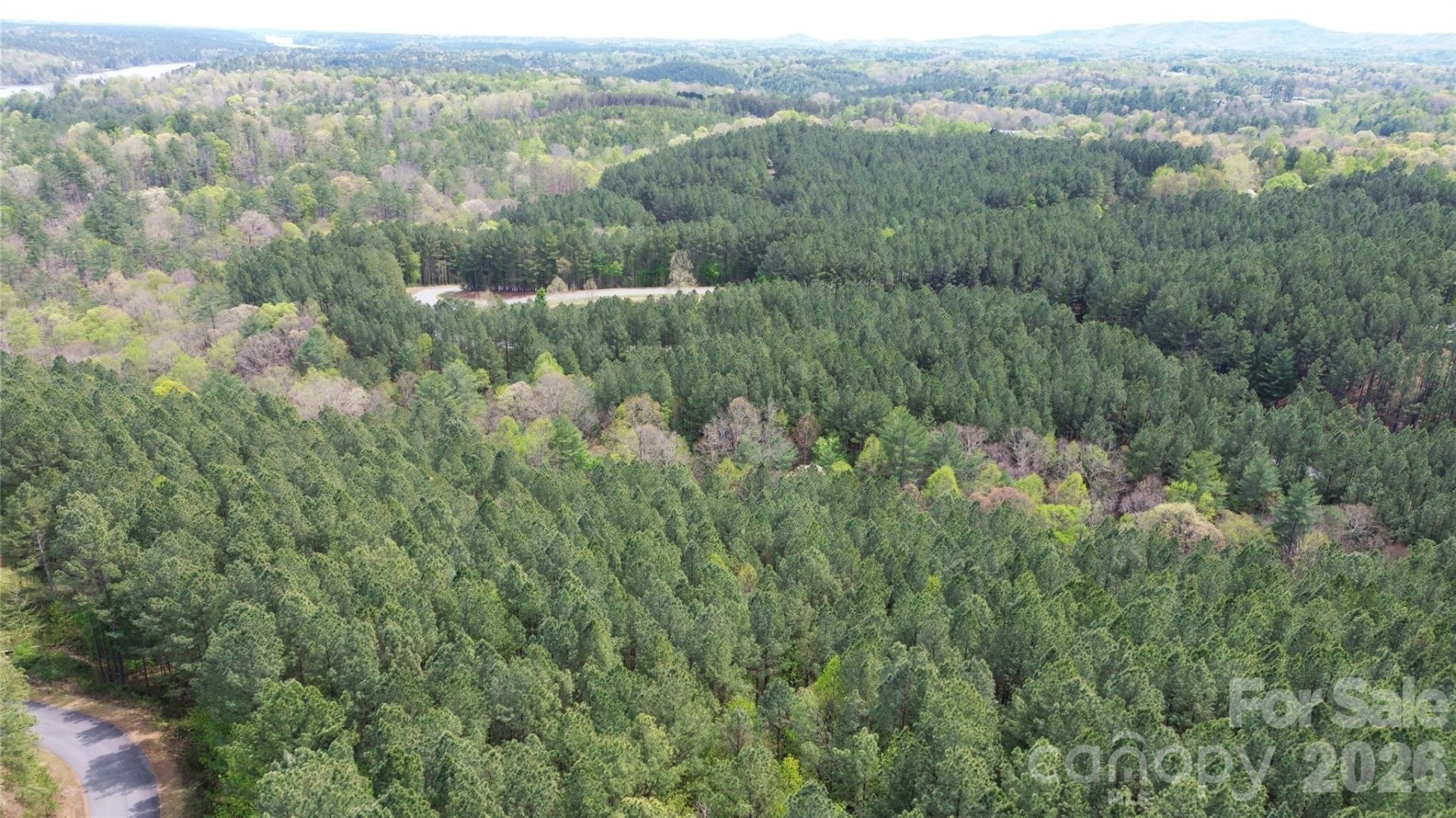 101, 107 Table Rock Trace - Photo 14