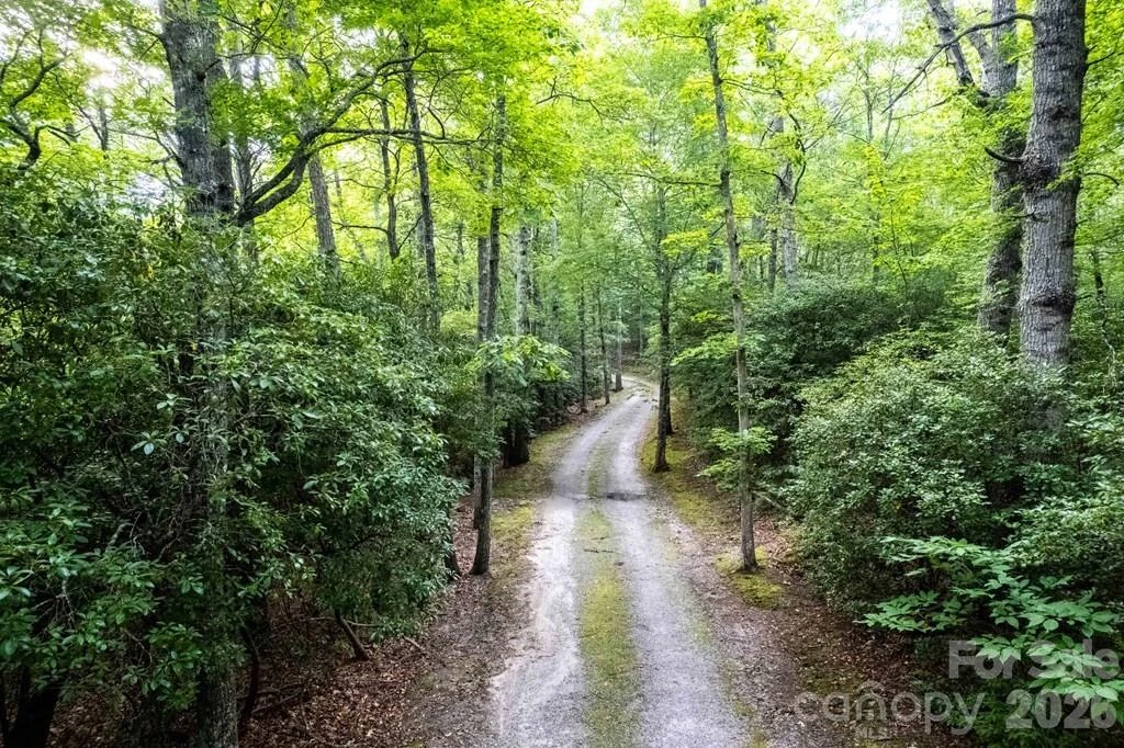 1783 Cliff Road - Photo 36