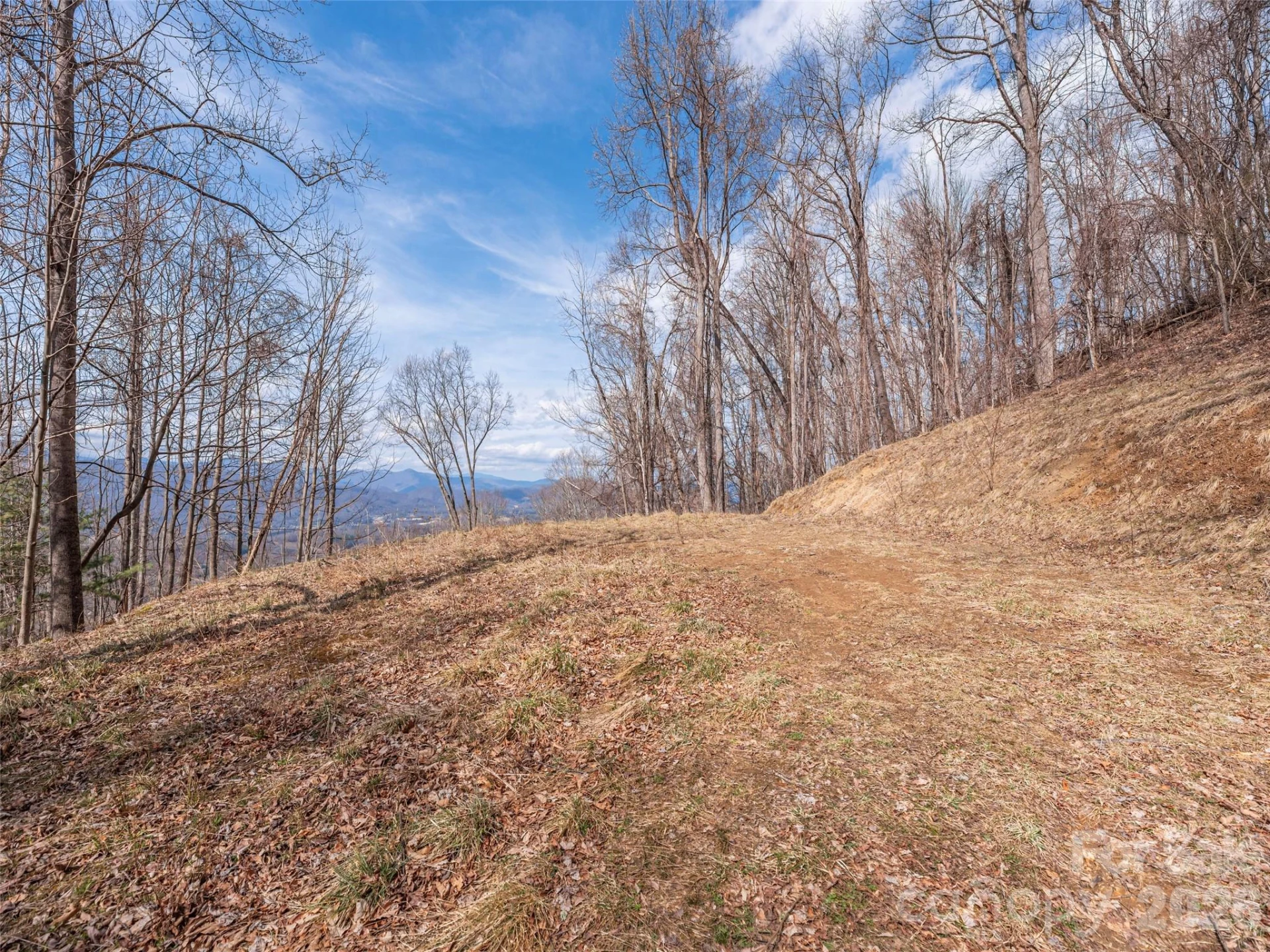399 Goodson Spring Road - Photo 2
