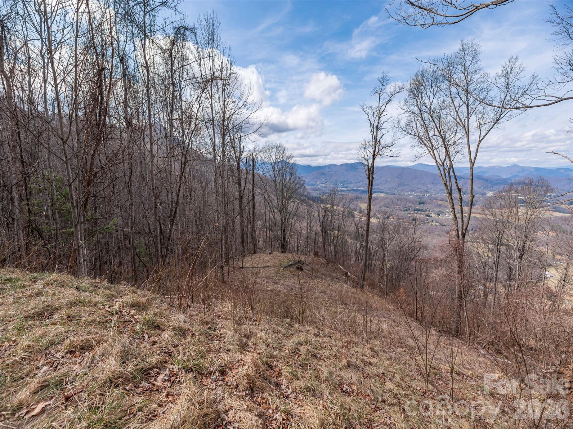 399 Goodson Spring Road - Photo 11