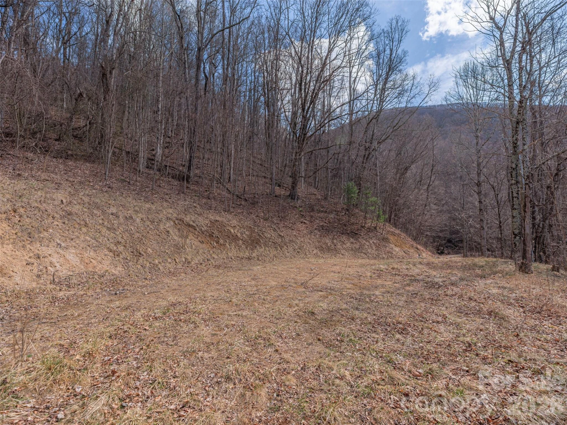 399 Goodson Spring Road - Photo 12