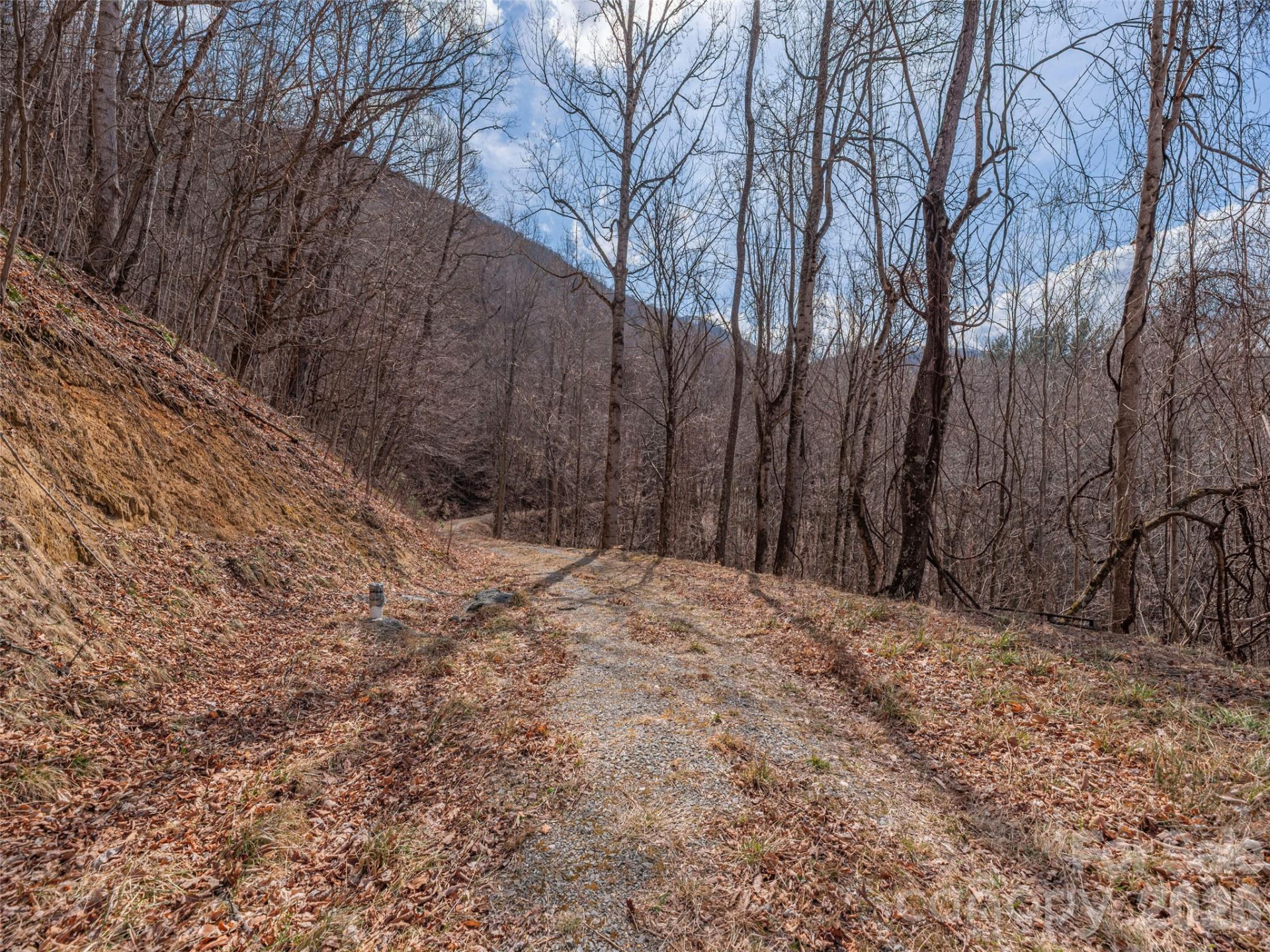 399 Goodson Spring Road - Photo 13