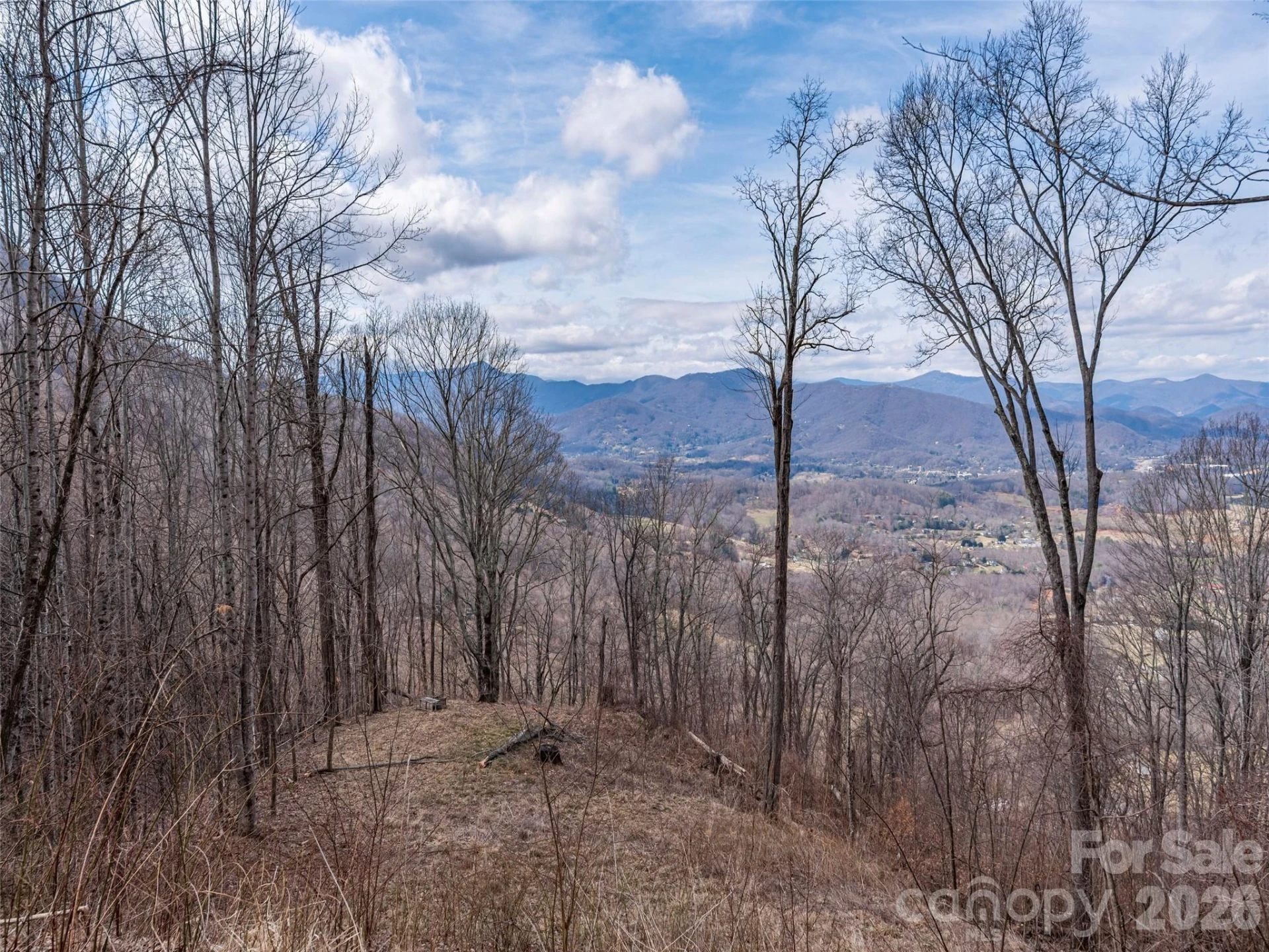 399 Goodson Spring Road - Photo 3