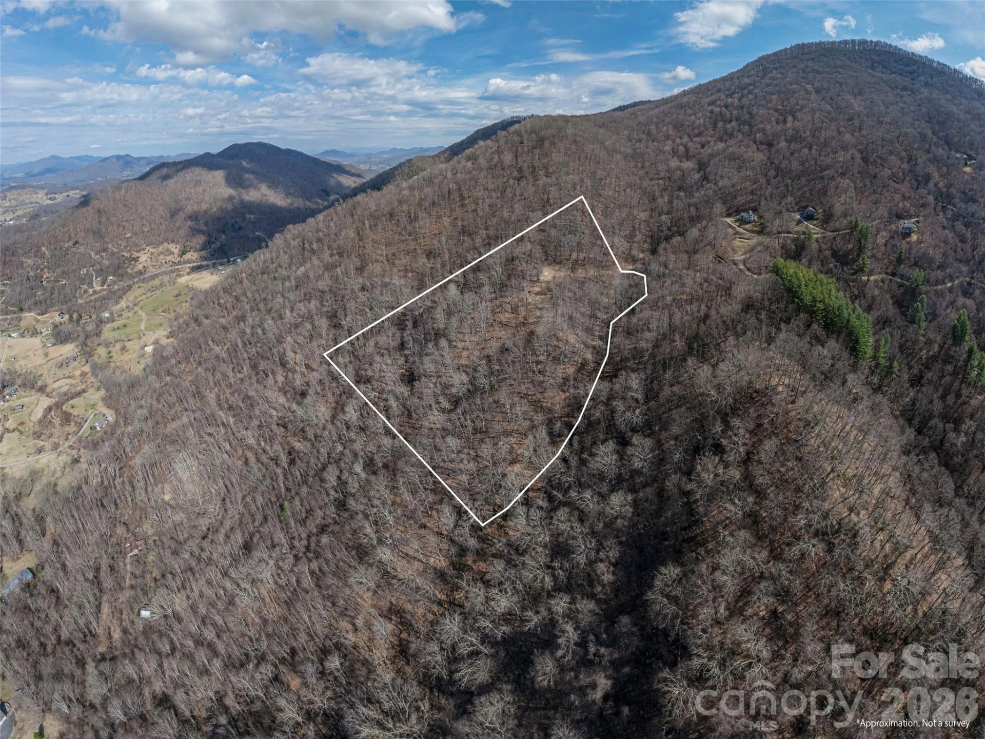 399 Goodson Spring Road - Photo 21