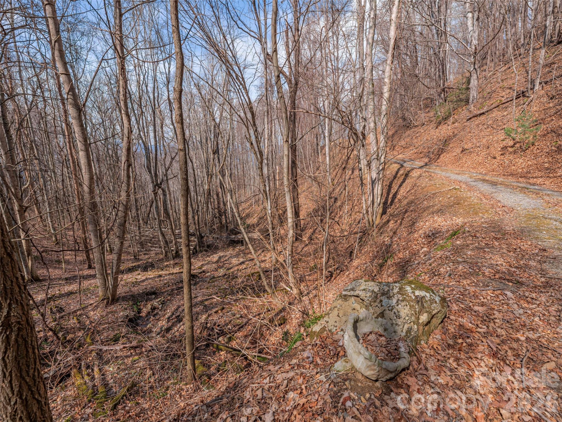 399 Goodson Spring Road - Photo 4