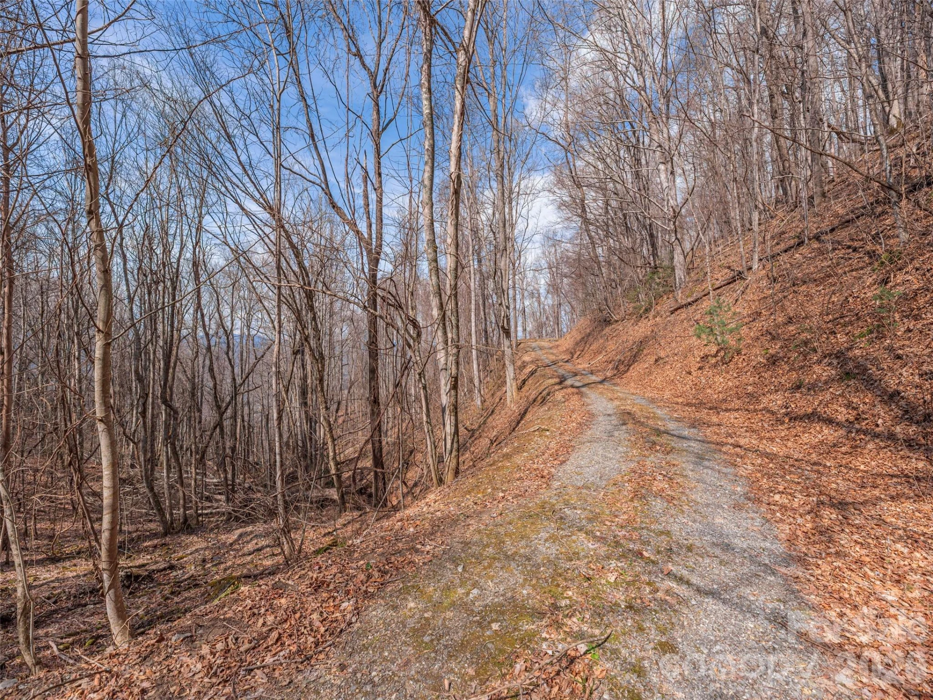 399 Goodson Spring Road - Photo 5