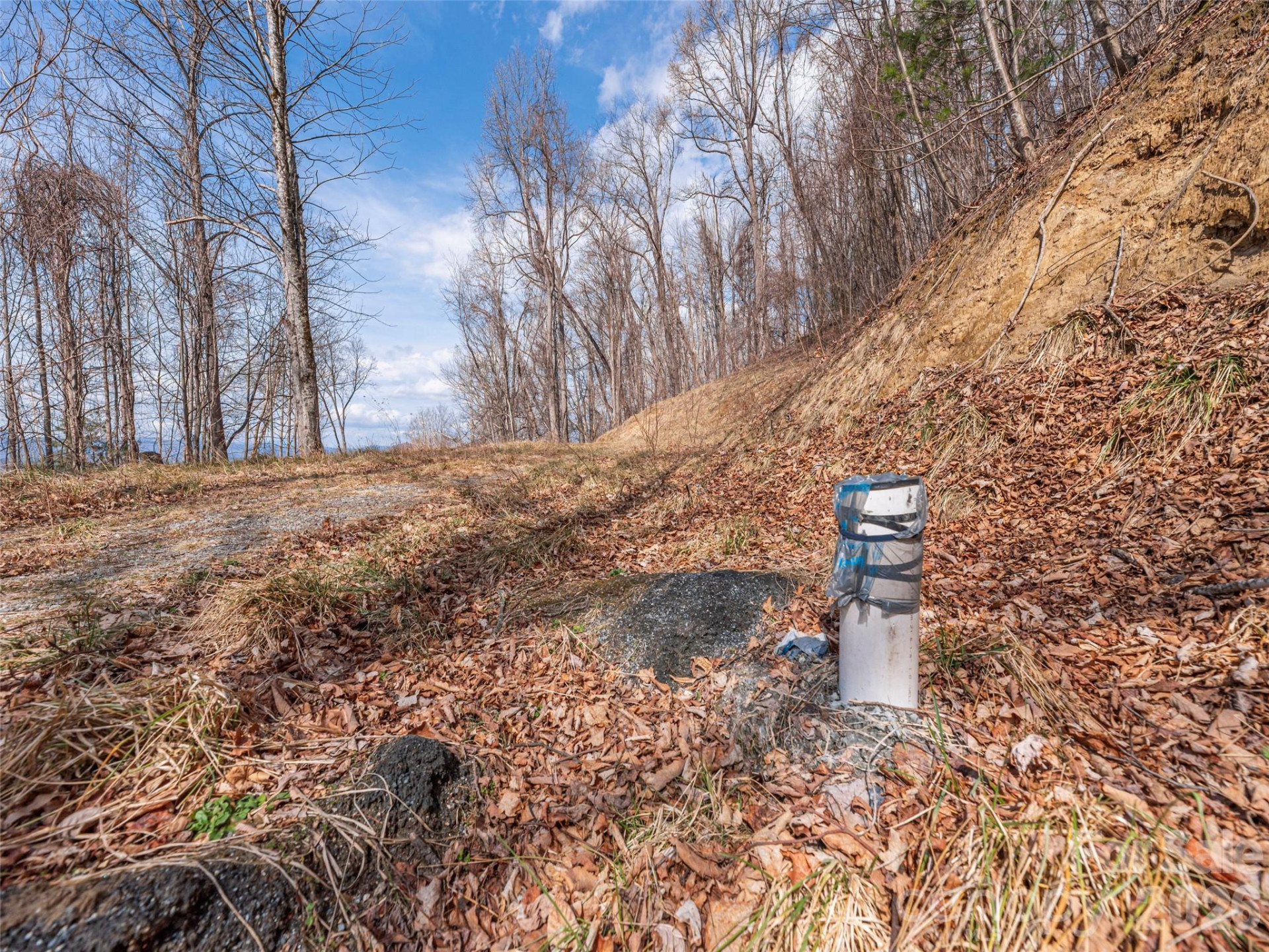 399 Goodson Spring Road - Photo 6