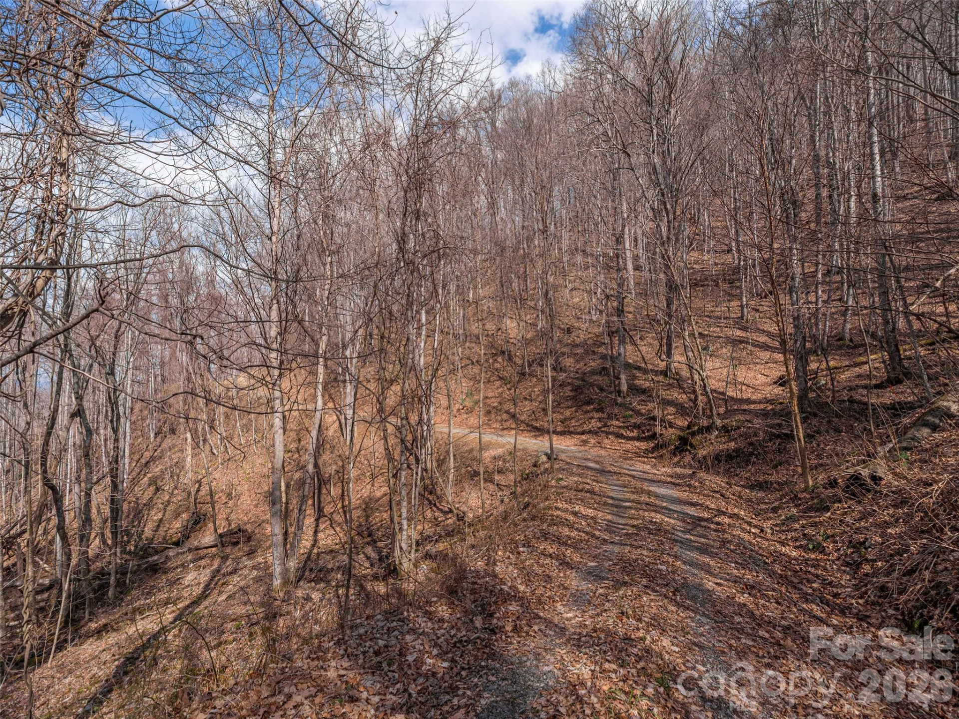 399 Goodson Spring Road - Photo 7