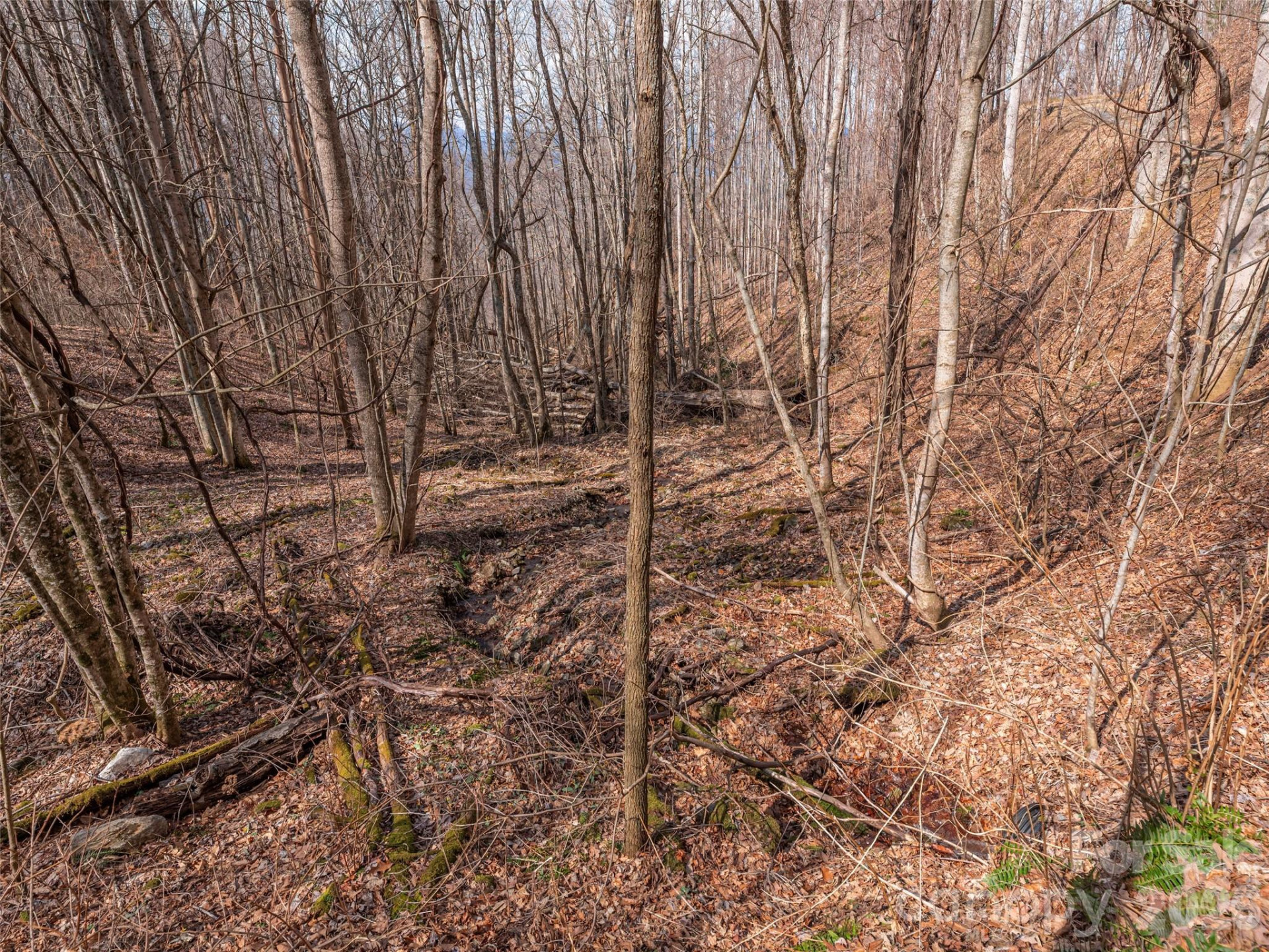 399 Goodson Spring Road - Photo 8