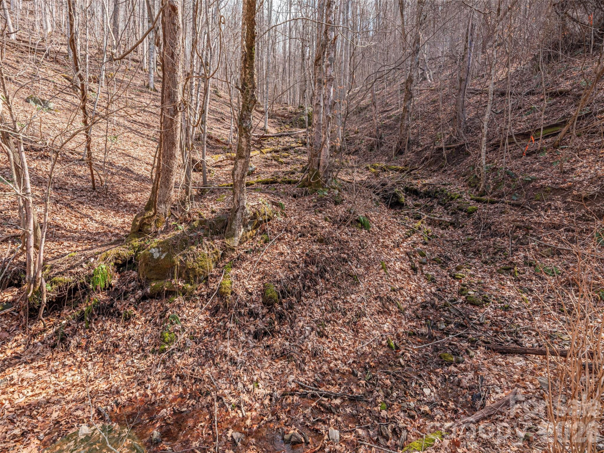 399 Goodson Spring Road - Photo 9