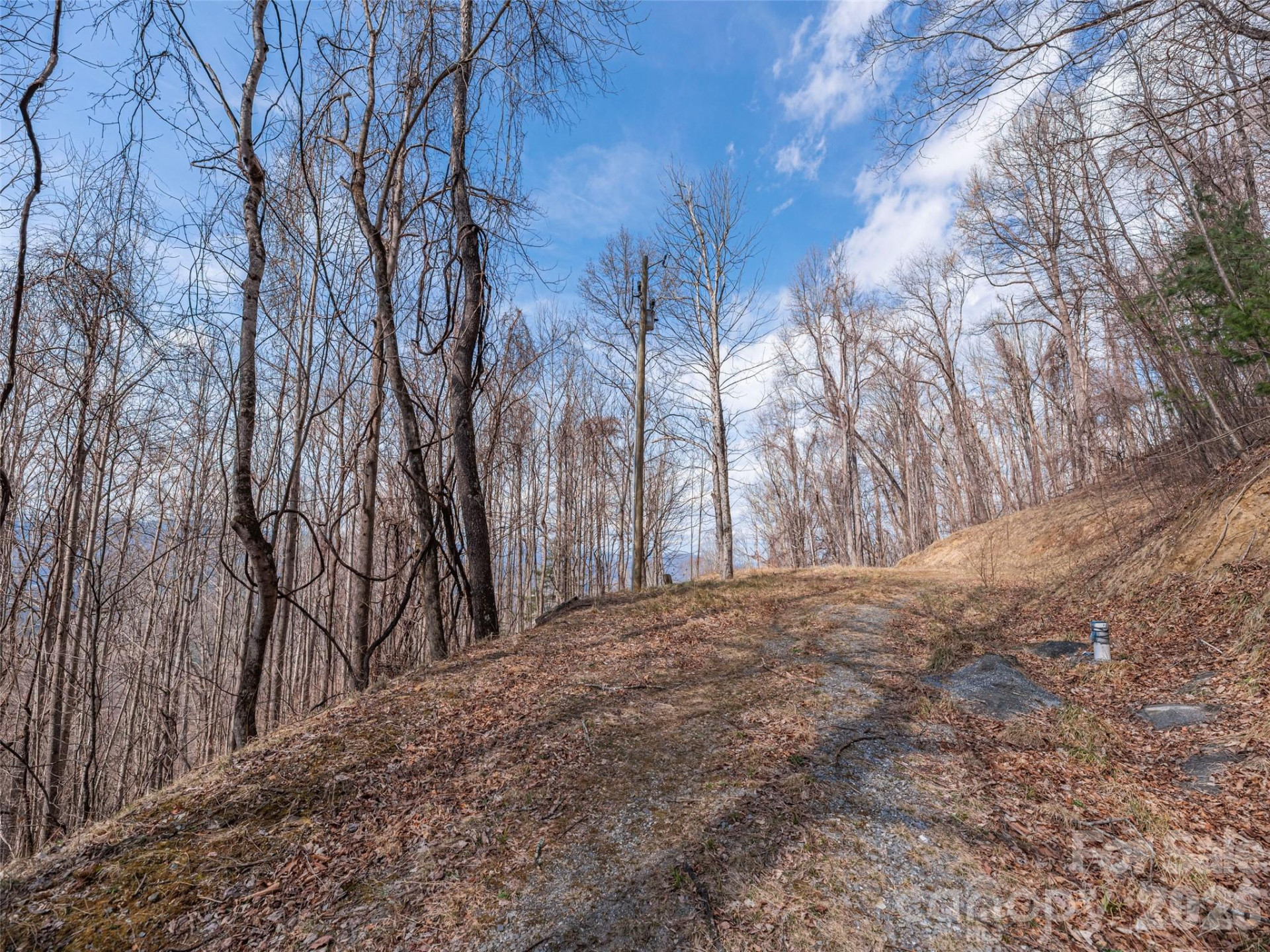 399 Goodson Spring Road - Photo 10