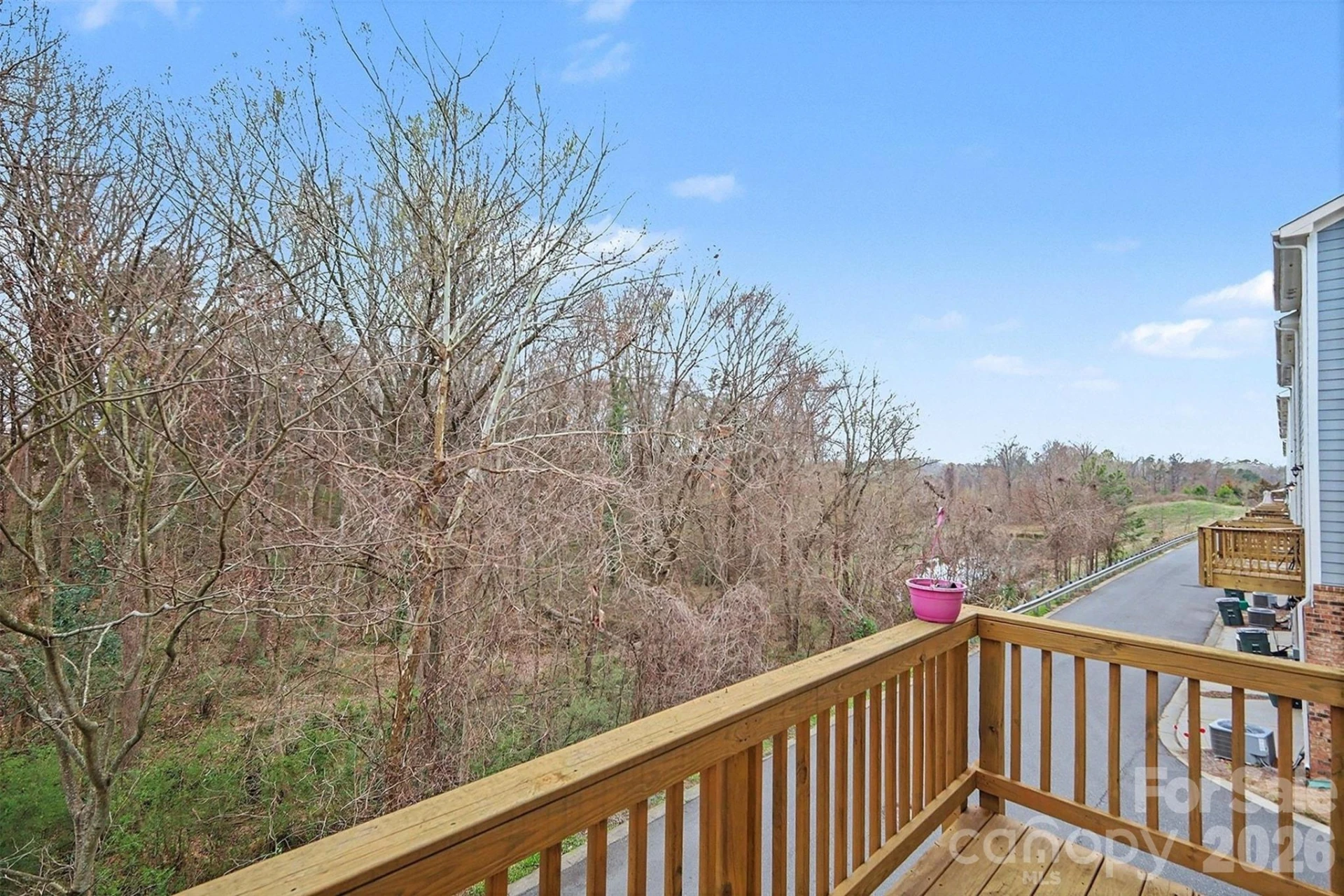 9524 Ainslie Downs Street - Photo 24