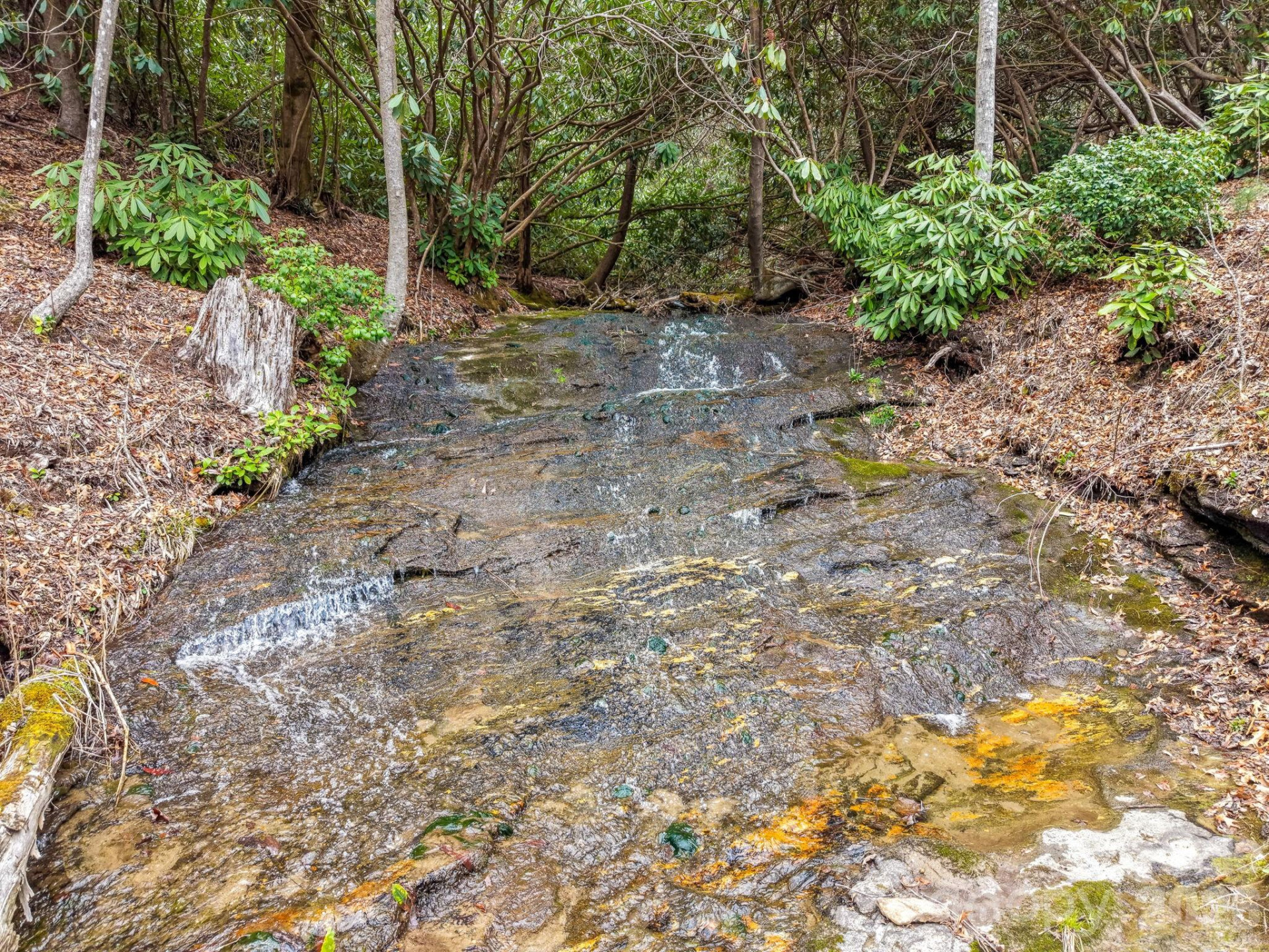 580 Robinson Creek Road