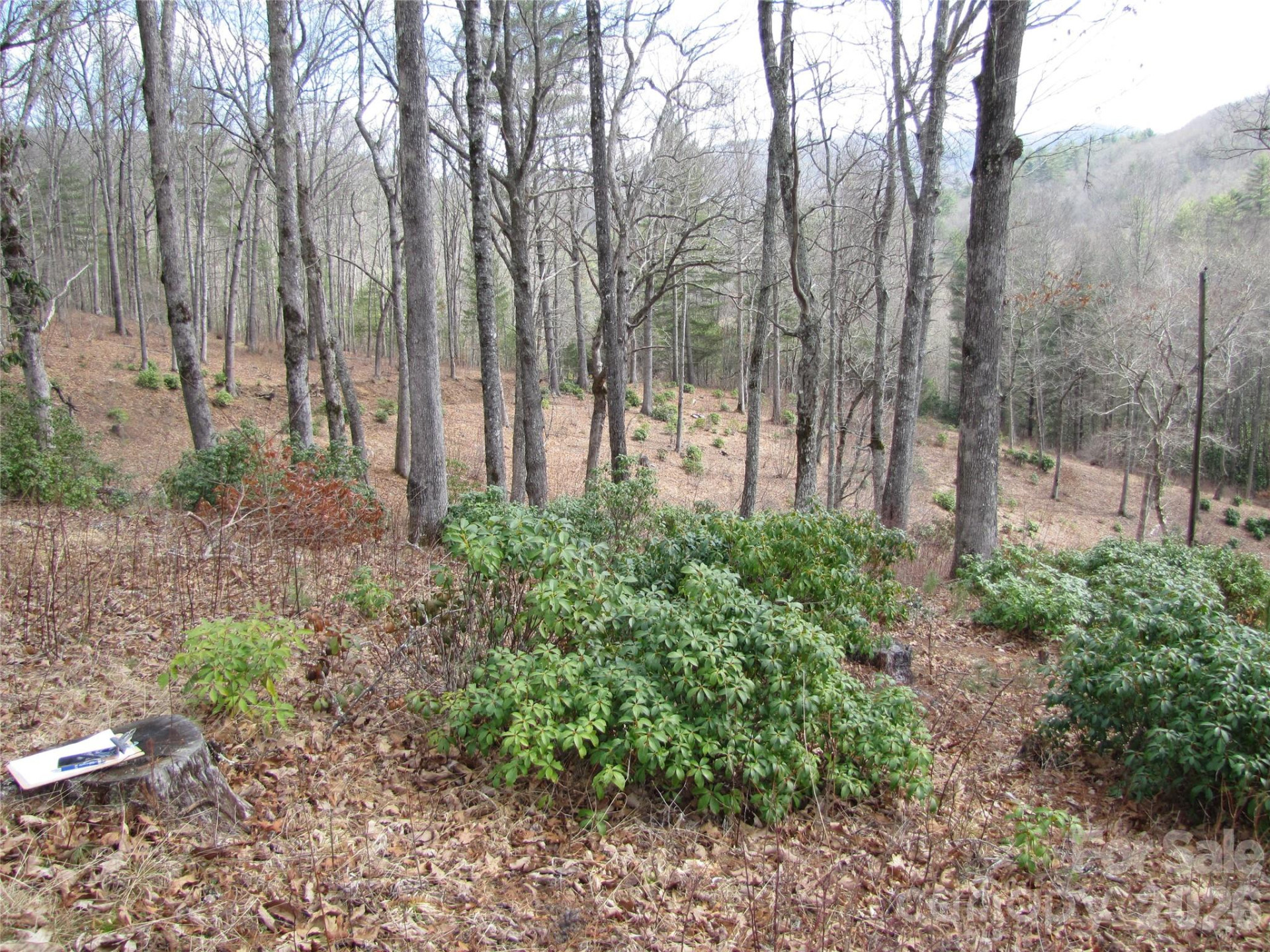 580 Robinson Creek Road - Photo 11