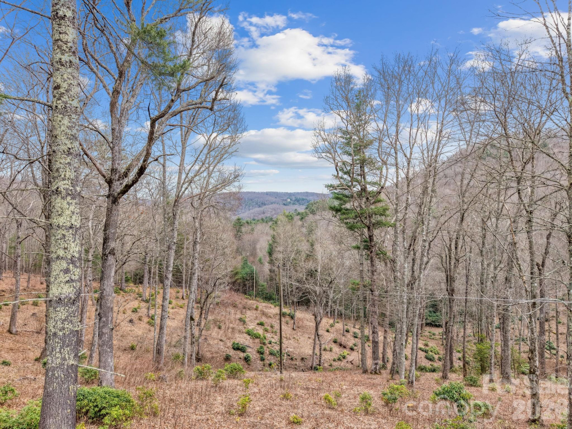 580 Robinson Creek Road - Photo 3