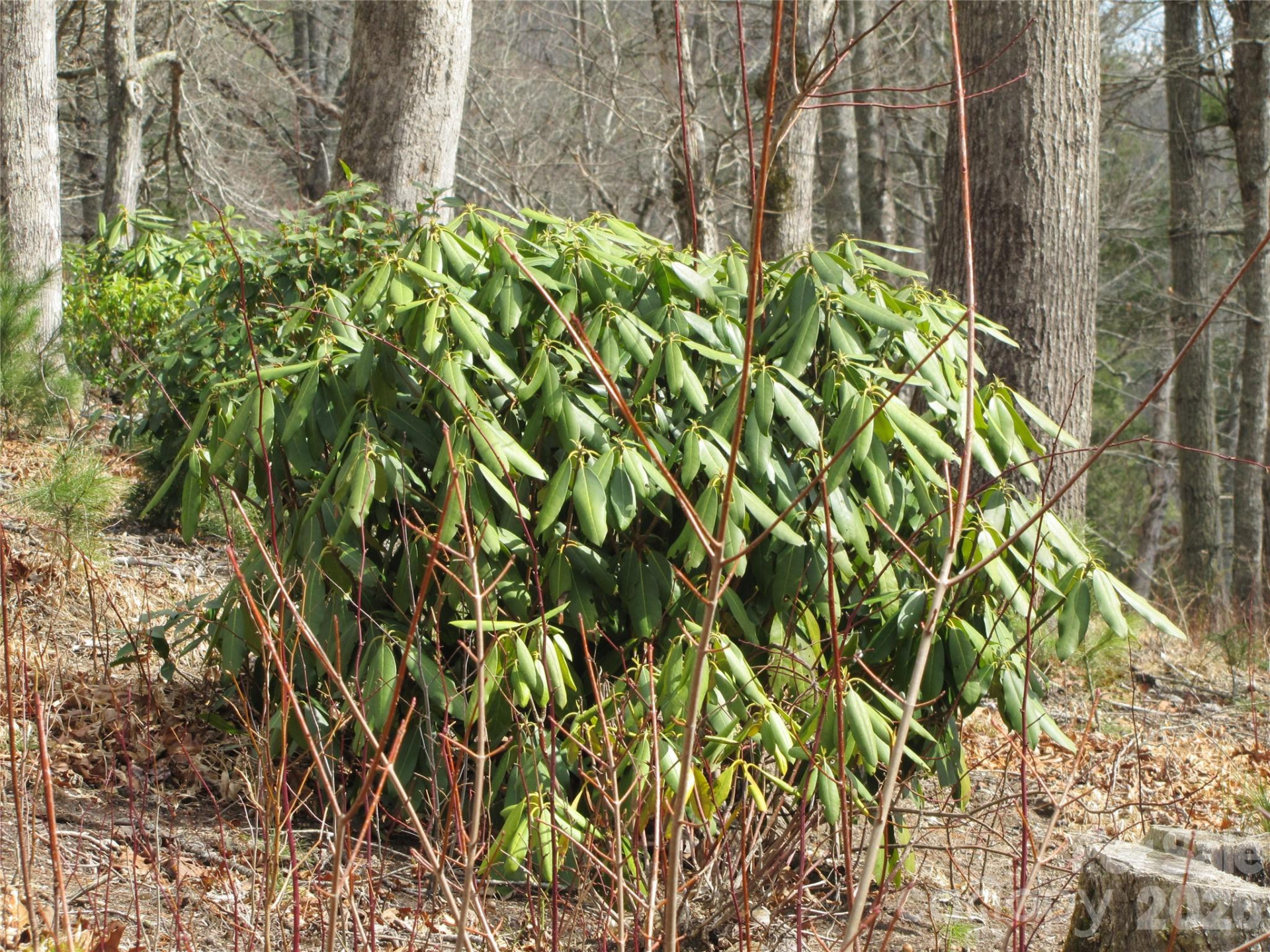 580 Robinson Creek Road - Photo 6