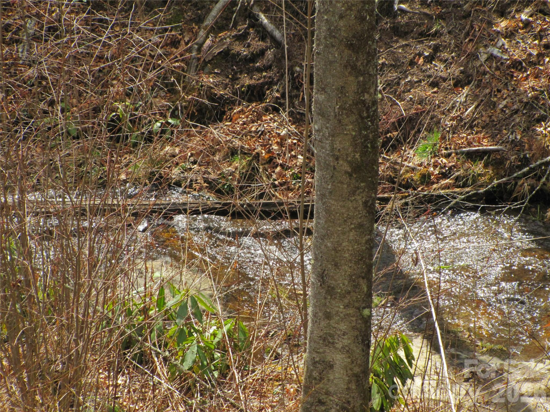 580 Robinson Creek Road - Photo 7