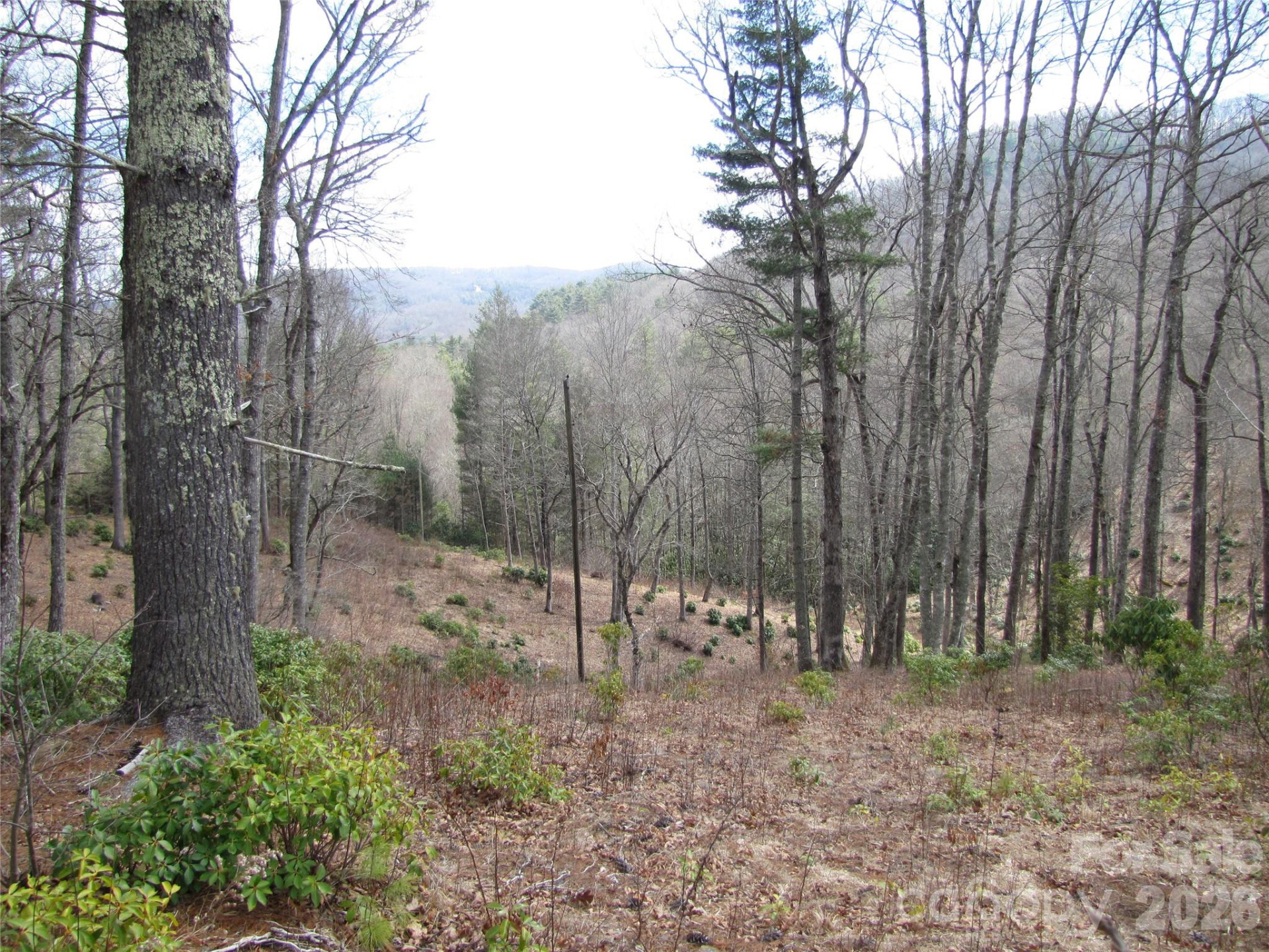 580 Robinson Creek Road - Photo 8