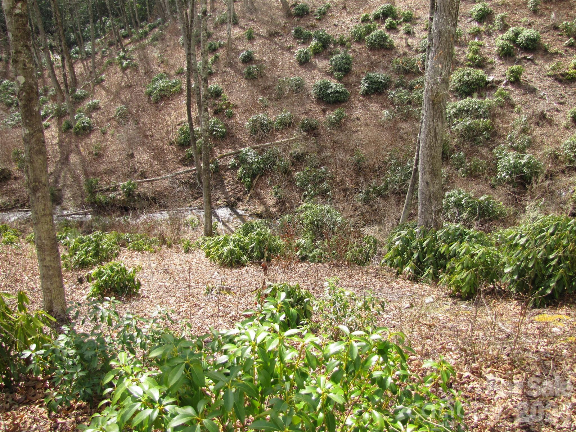 580 Robinson Creek Road - Photo 9