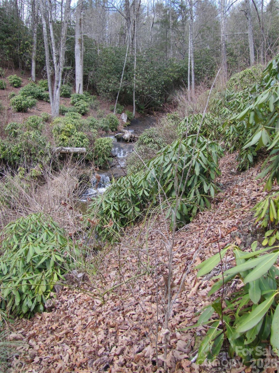 580 Robinson Creek Road - Photo 10